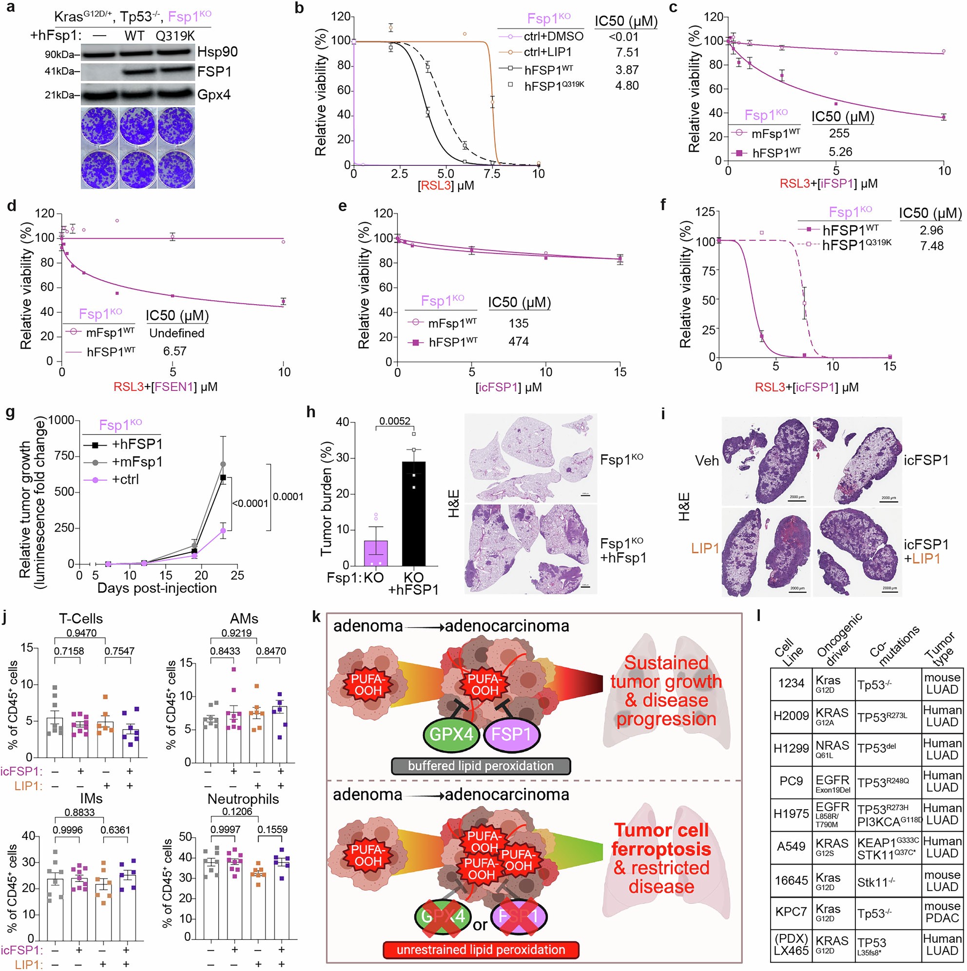 Extended Data Fig. 7