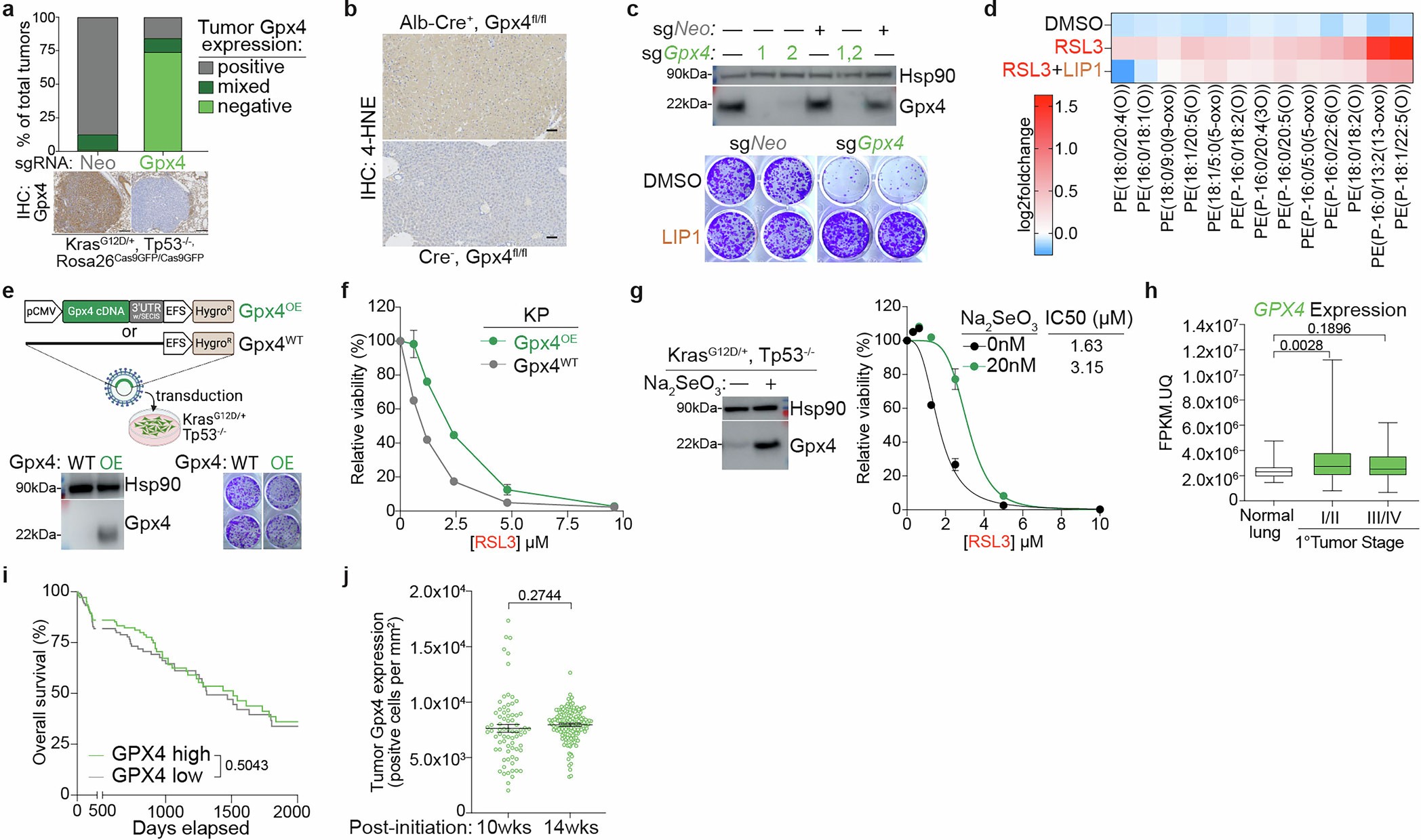 Extended Data Fig. 1