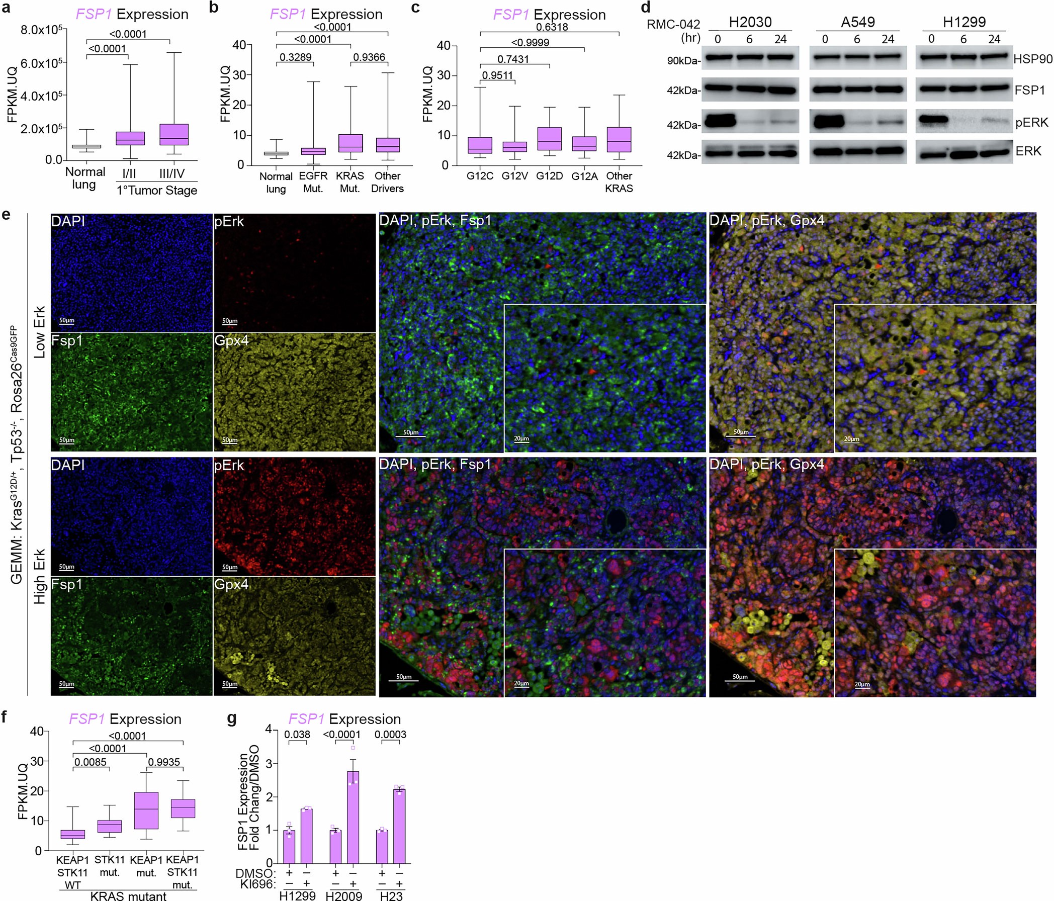 Extended Data Fig. 2