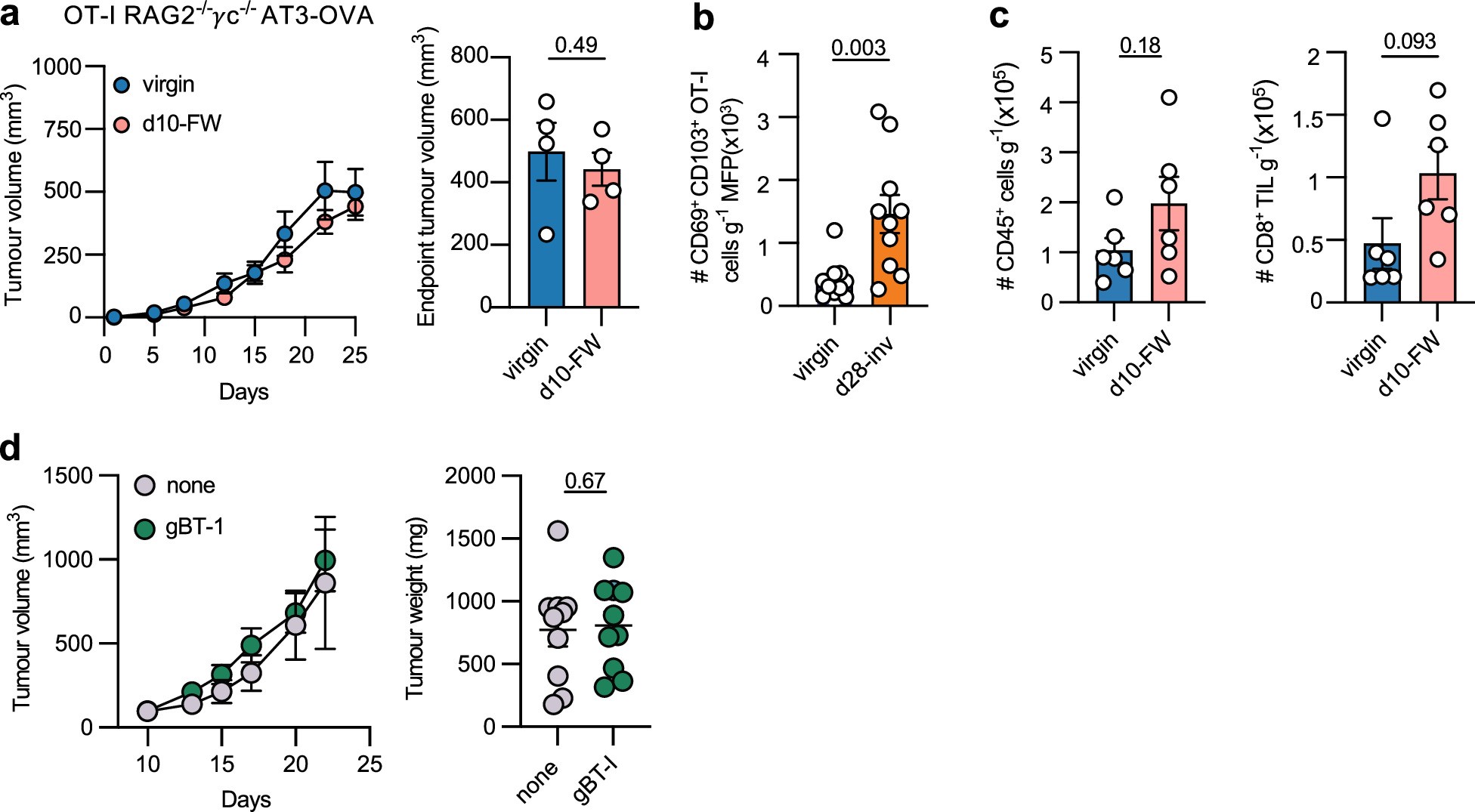 Extended Data Fig. 7: TNBC tumour growth and immune infiltration in murine models.