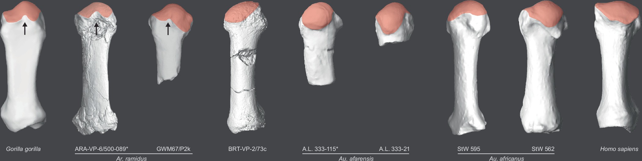 Extended Data Fig. 9