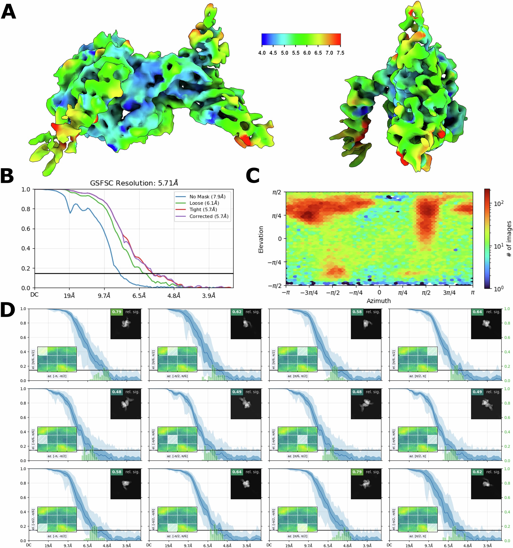Extended Data Fig. 6: Final Local Refinement CryoEM statistics for OrthoRep Affinity Matured TcdB VHH, VHH_TcdB_H2_ortho in complex with TcdB.