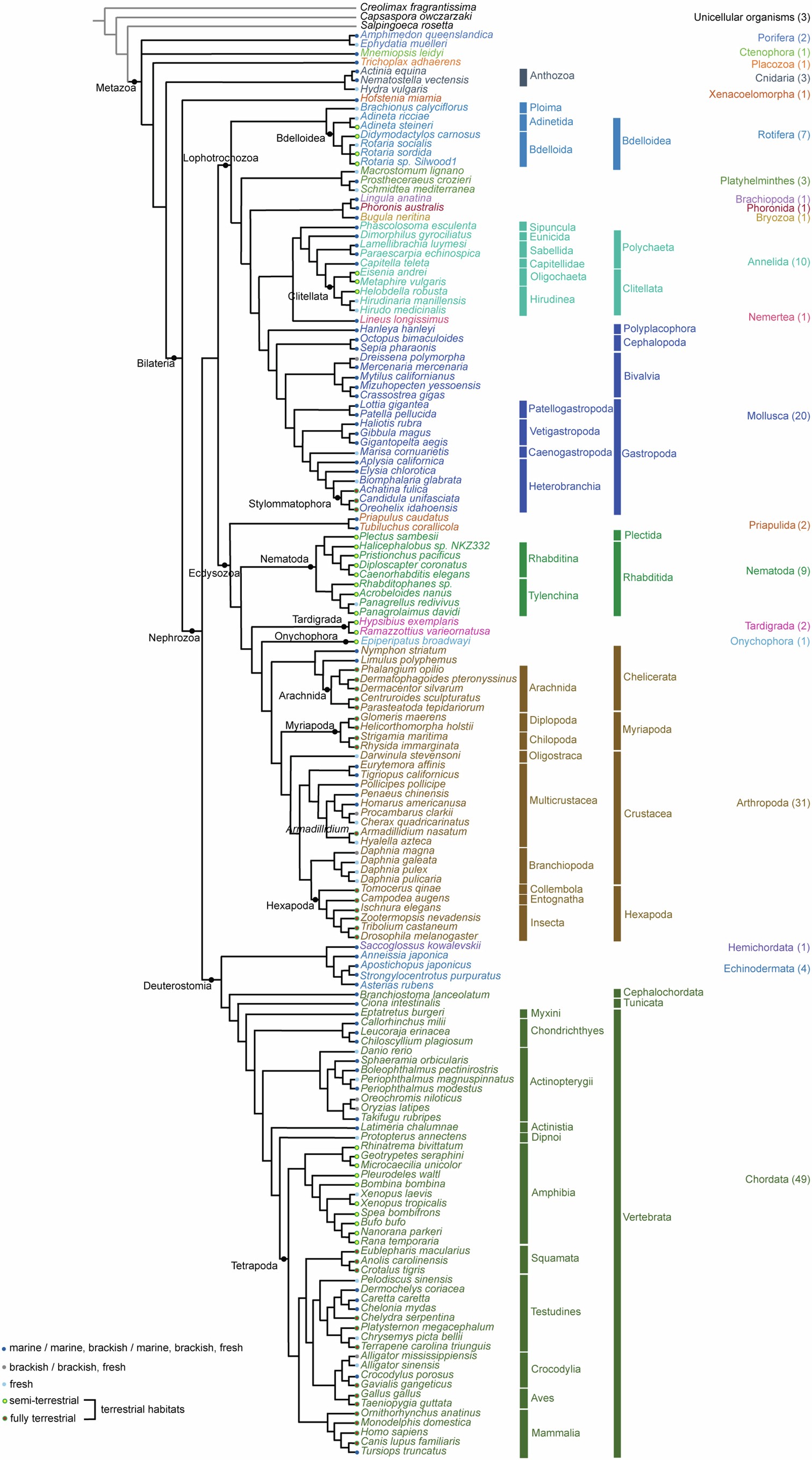 Extended Data Fig. 2