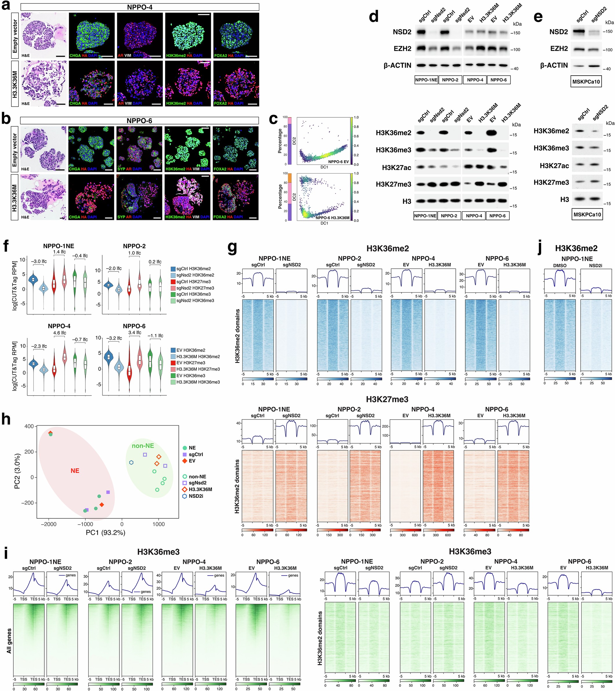 Extended Data Fig. 5