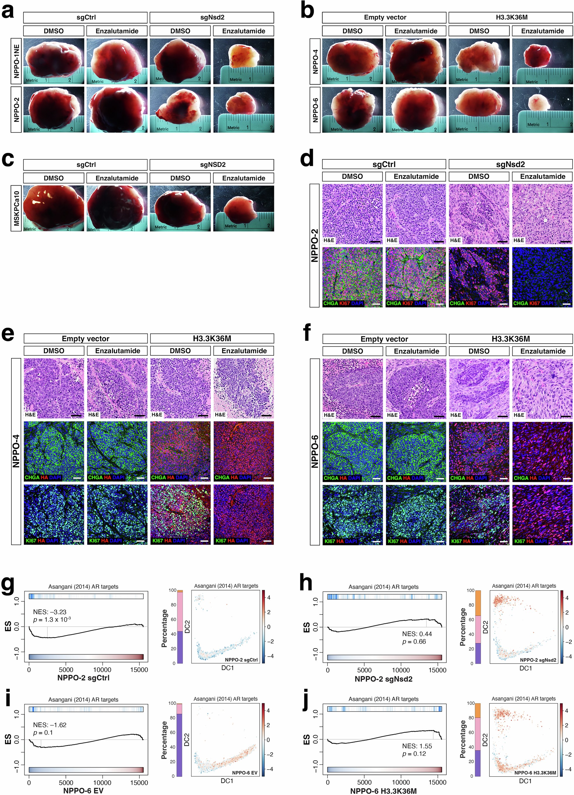 Extended Data Fig. 8
