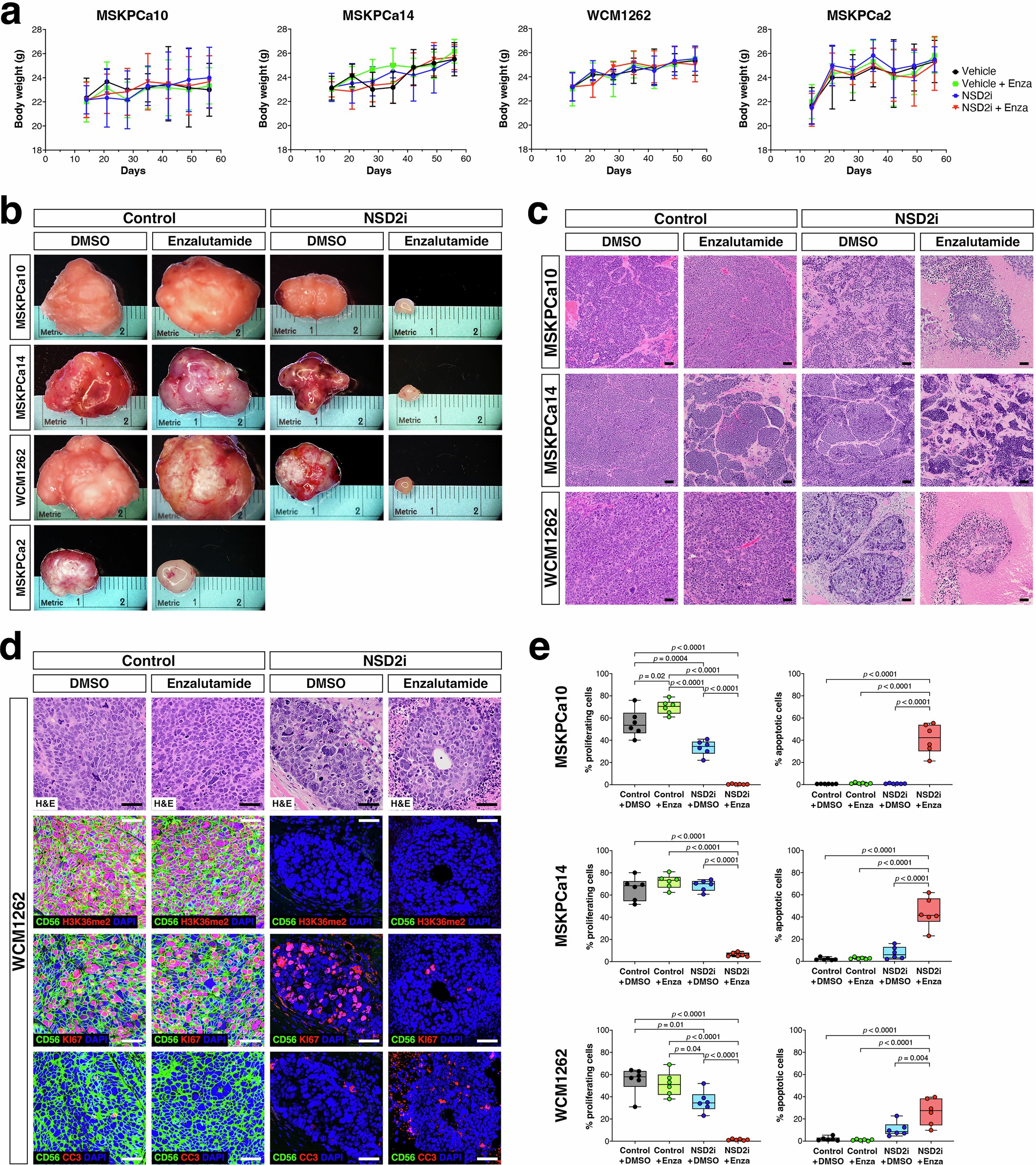 Extended Data Fig. 10