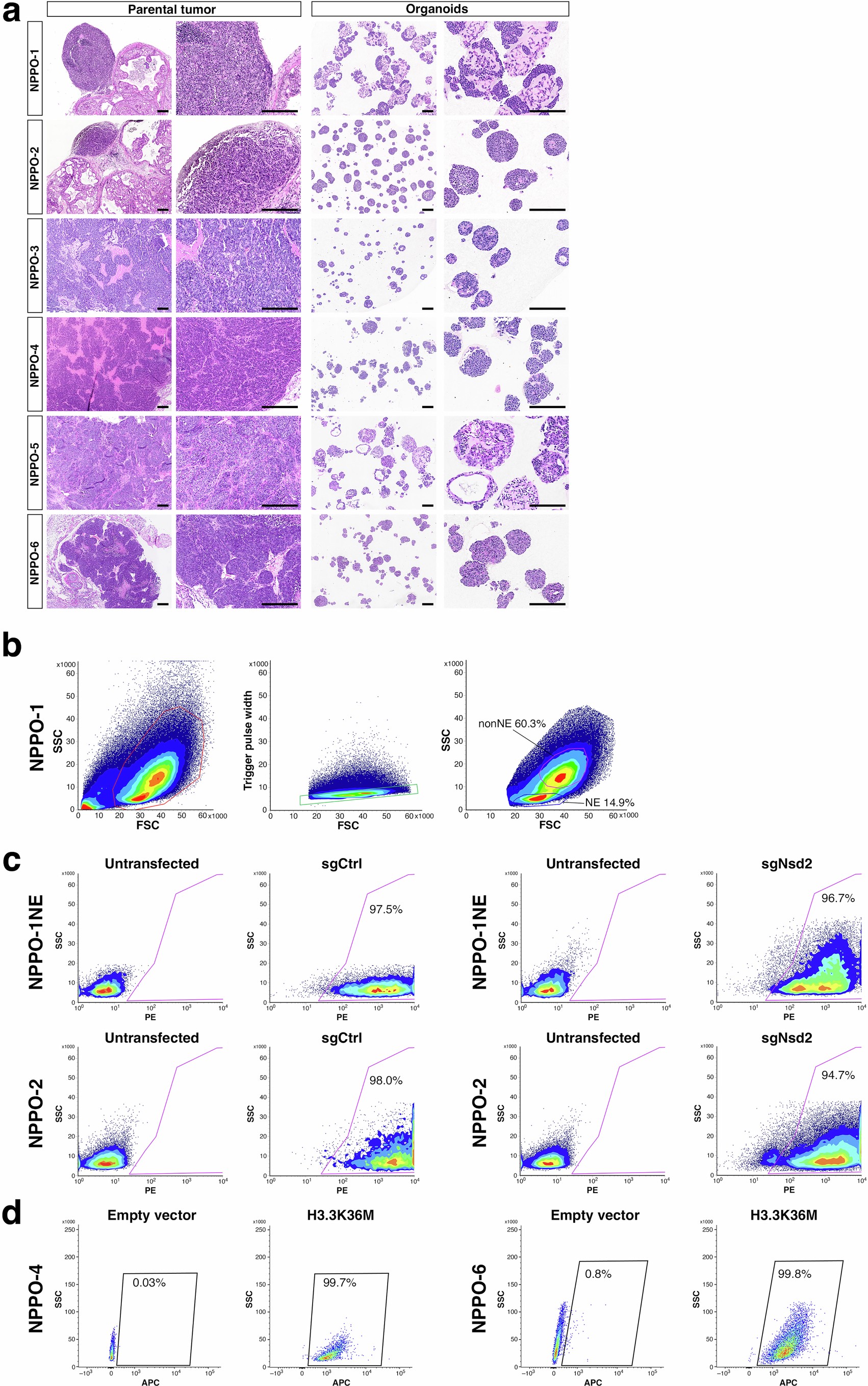 Extended Data Fig. 1