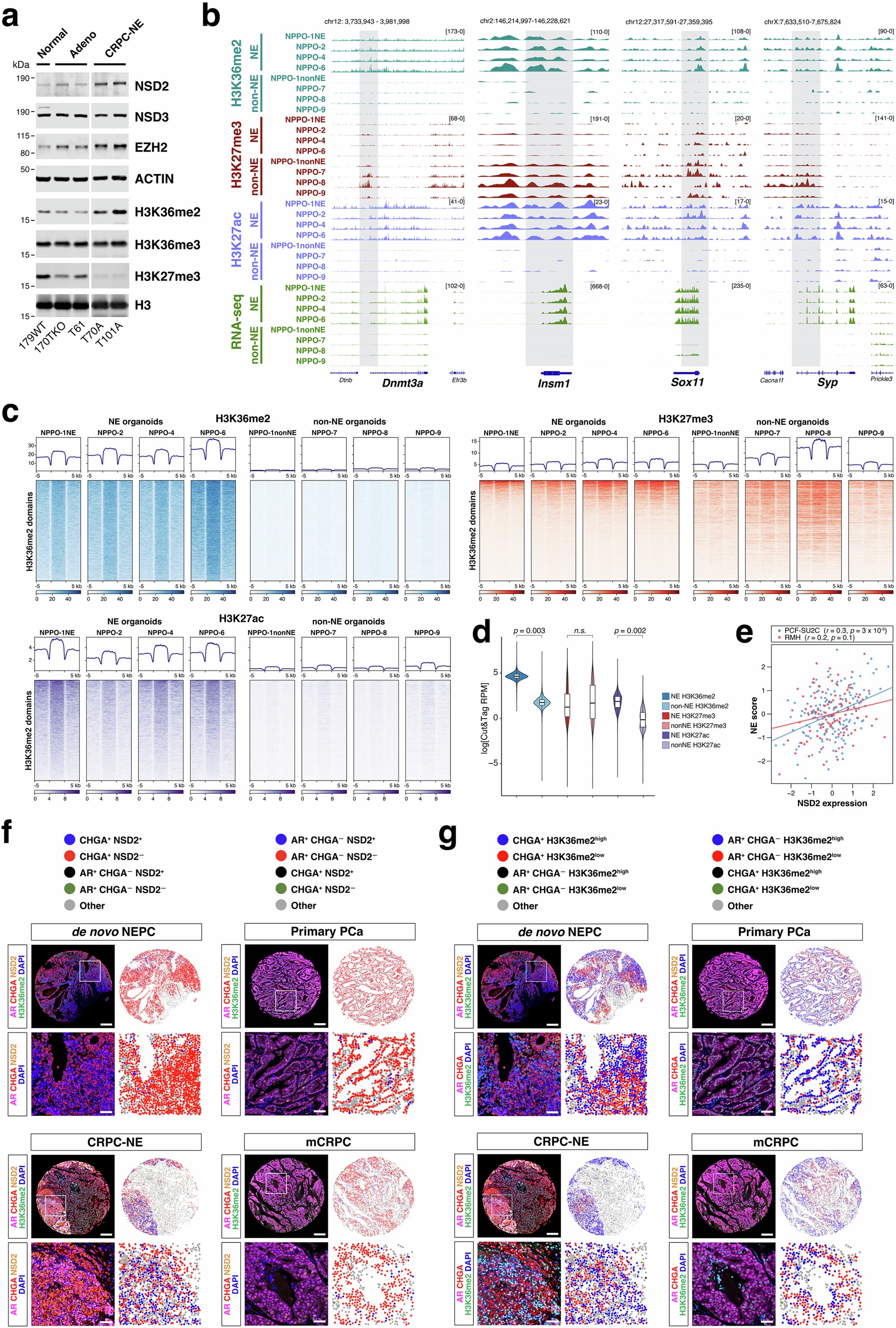 Extended Data Fig. 4