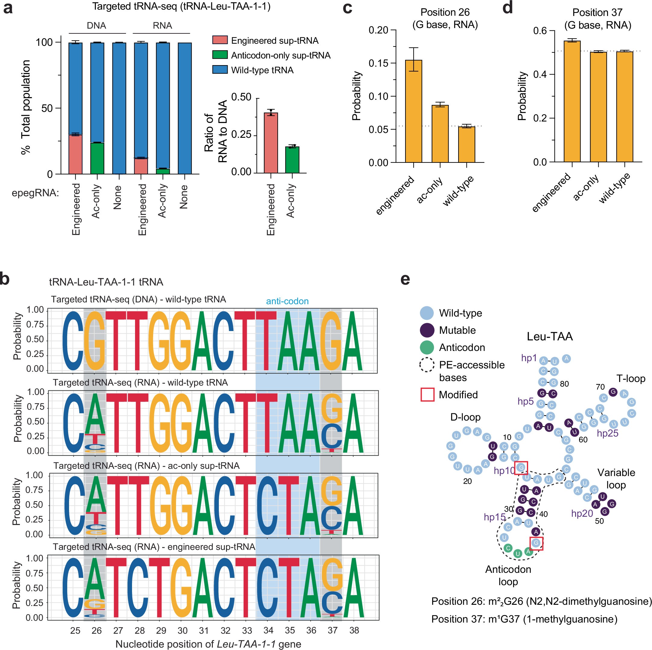 Extended Data Fig. 6: Abundance levels of PE-installed sup-tRNAs compared to wild-type tRNAs.