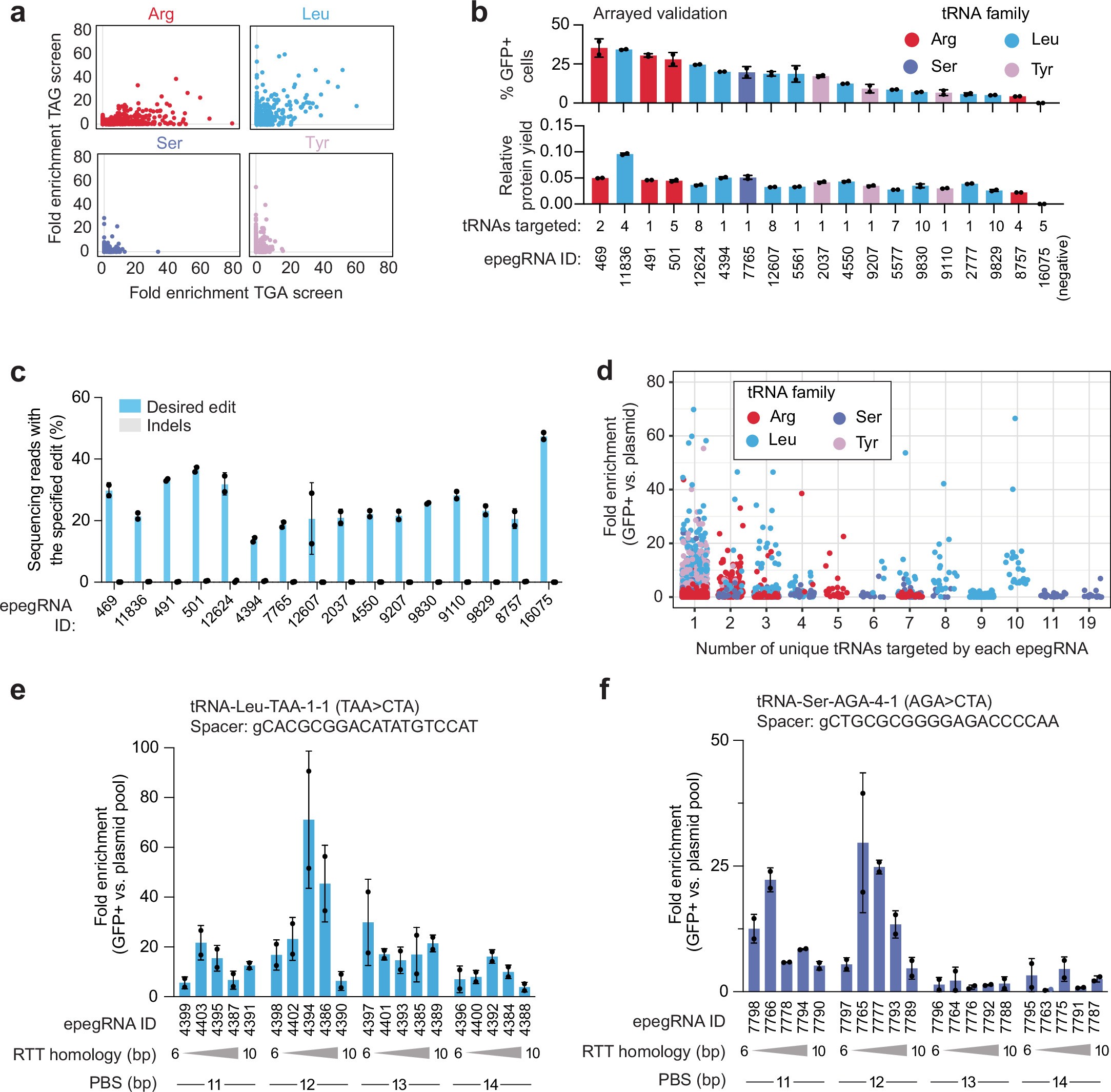 Extended Data Fig. 2: Endogenous tRNA genes can be converted to TAG sup-tRNAs with prime editing.