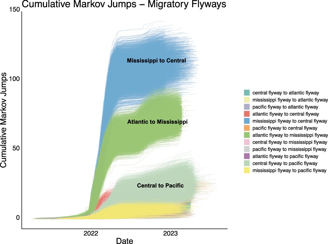 Extended Data Fig. 3: Cumulative Markov jumps over time between USFWS flyways.
