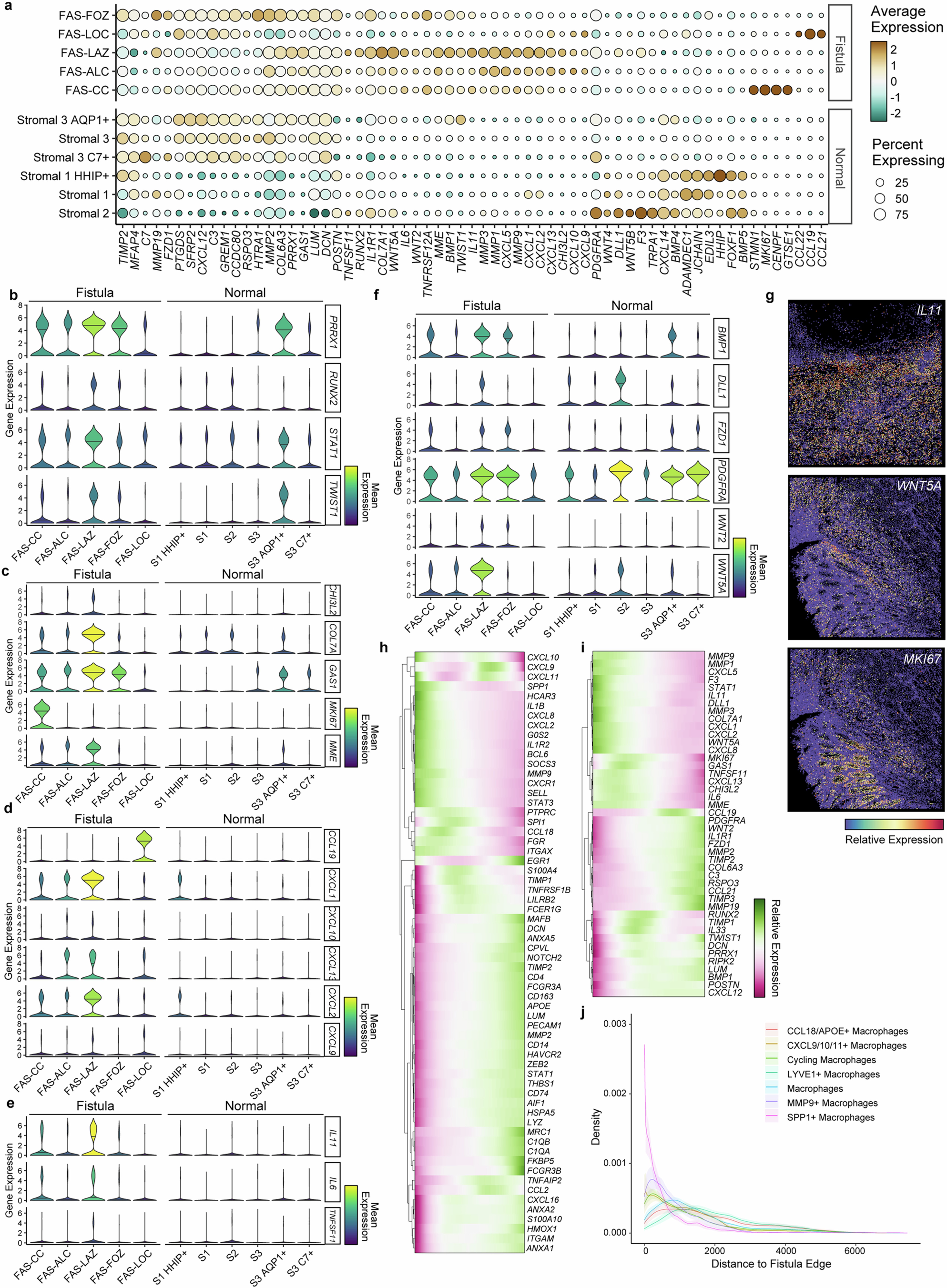 Extended Data Fig. 5: Gene expression programs in FAS cells.