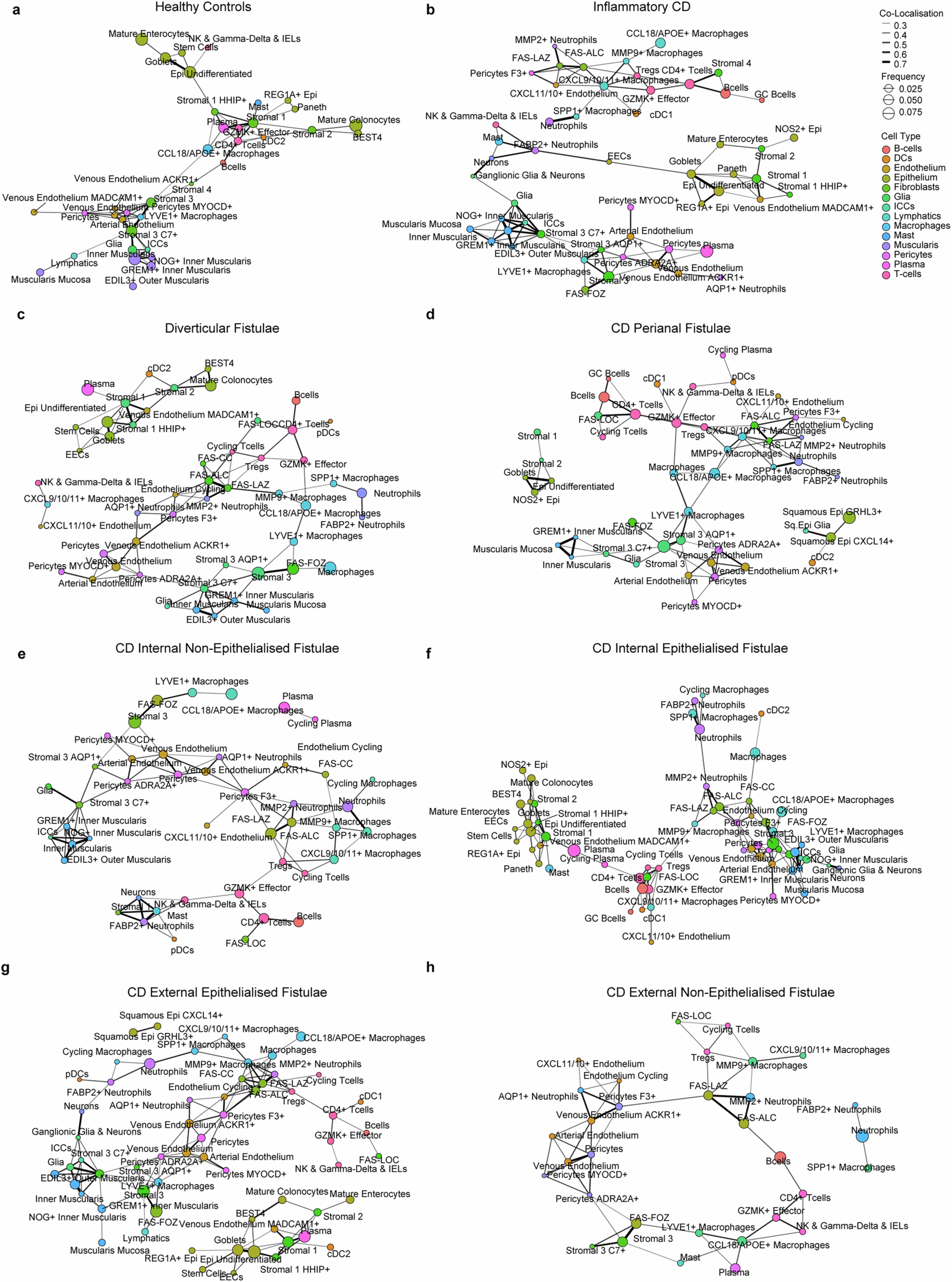 Extended Data Fig. 8: Cellular co-localisation in Crohn’s fistulae.