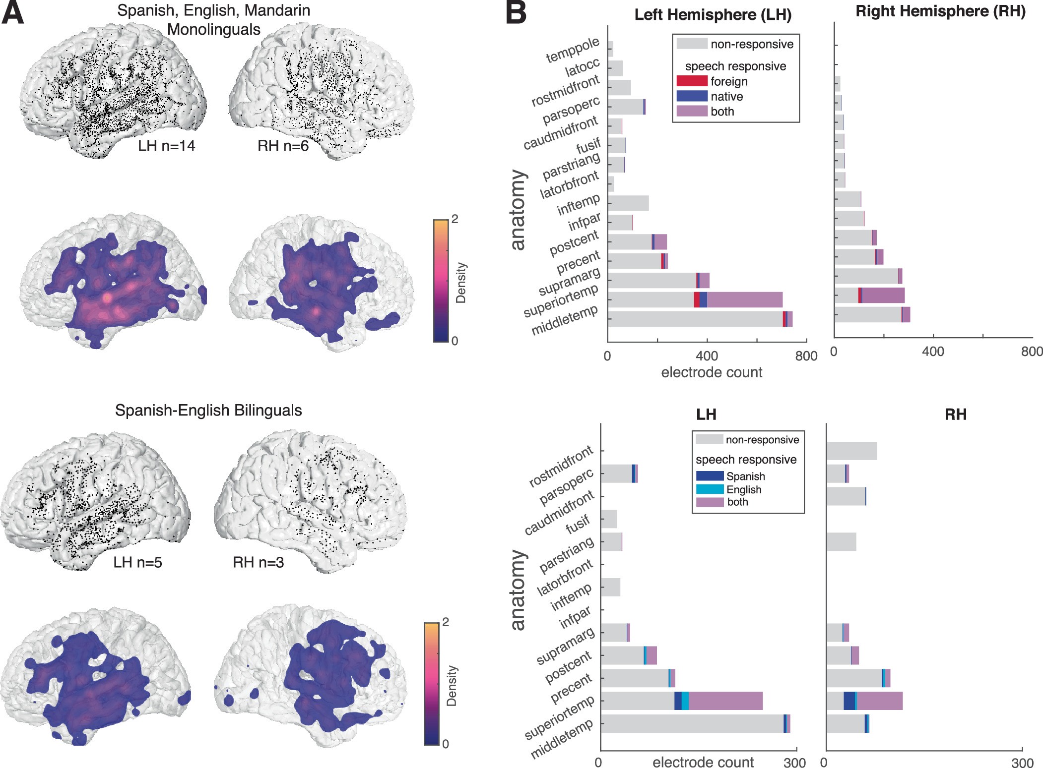 Extended Data Fig. 2: High density lateral surface coverage of the human temporal lobe in English, Spanish, Mandarin speakers and Spanish-English bilinguals.