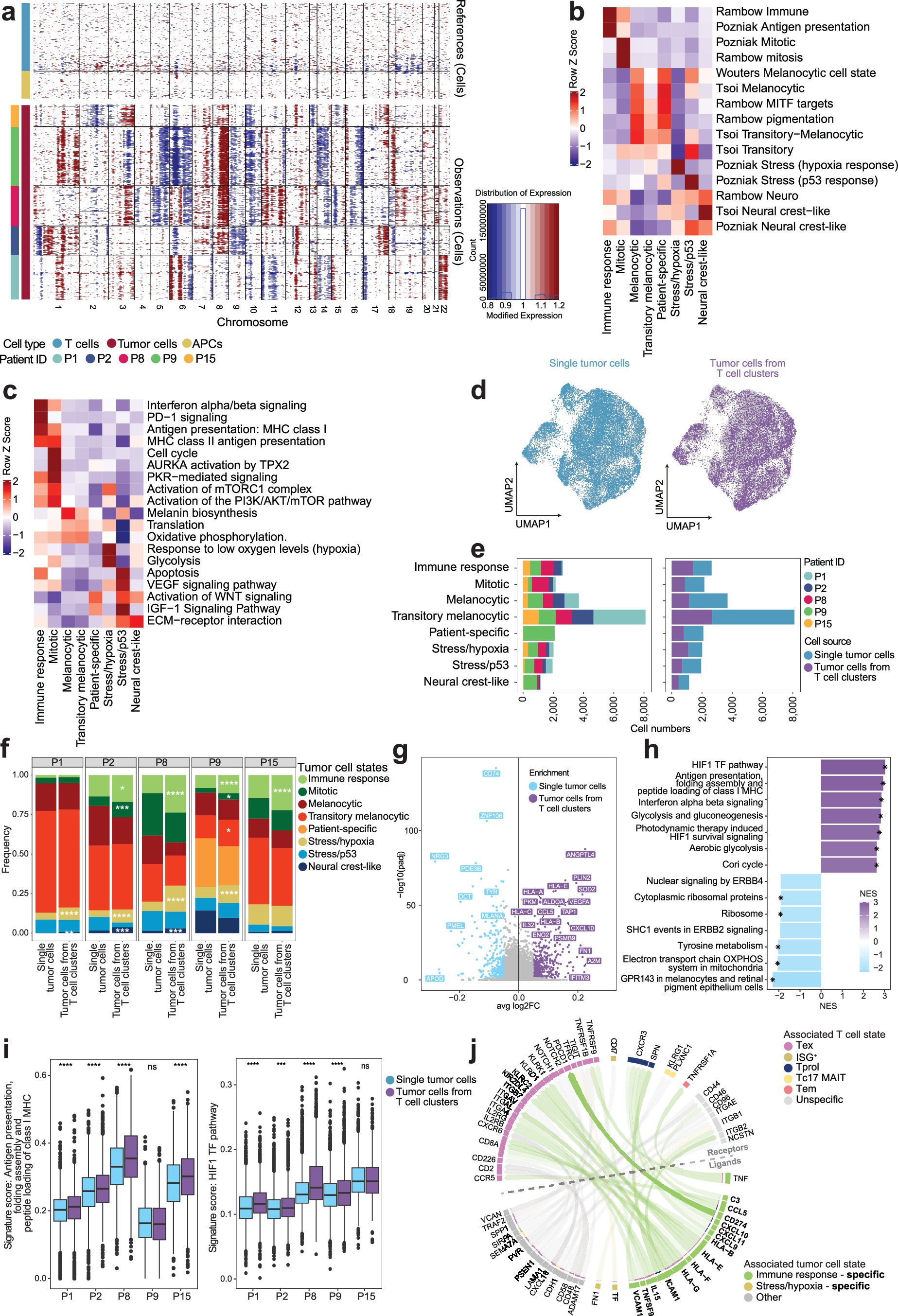 Extended Data Fig. 5: Tumour cell states in melanoma clinical samples.