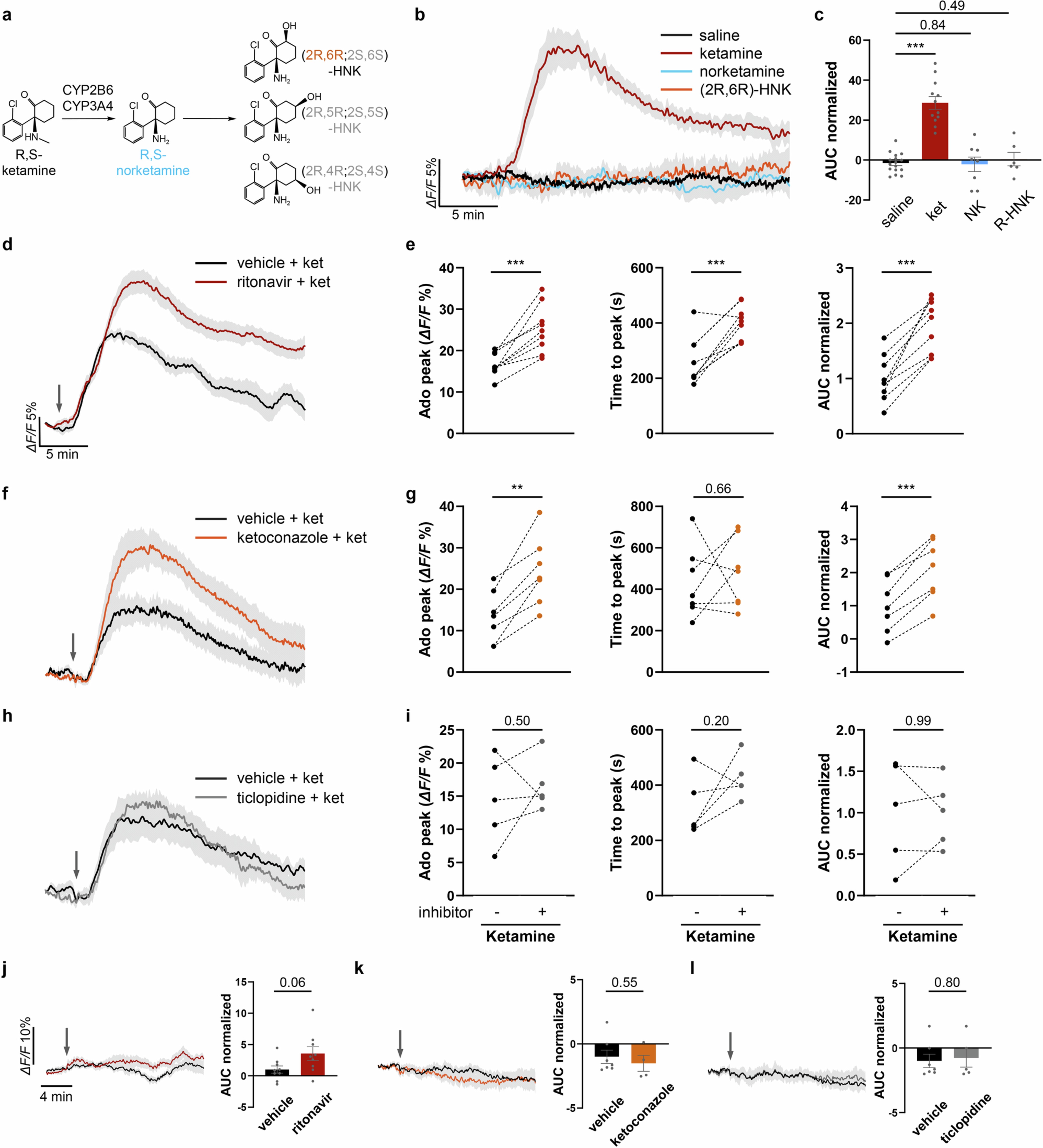 Extended Data Fig. 2: Effect of ketamine metabolites and metabolism inhibitors on adenosine release in the mPFC.