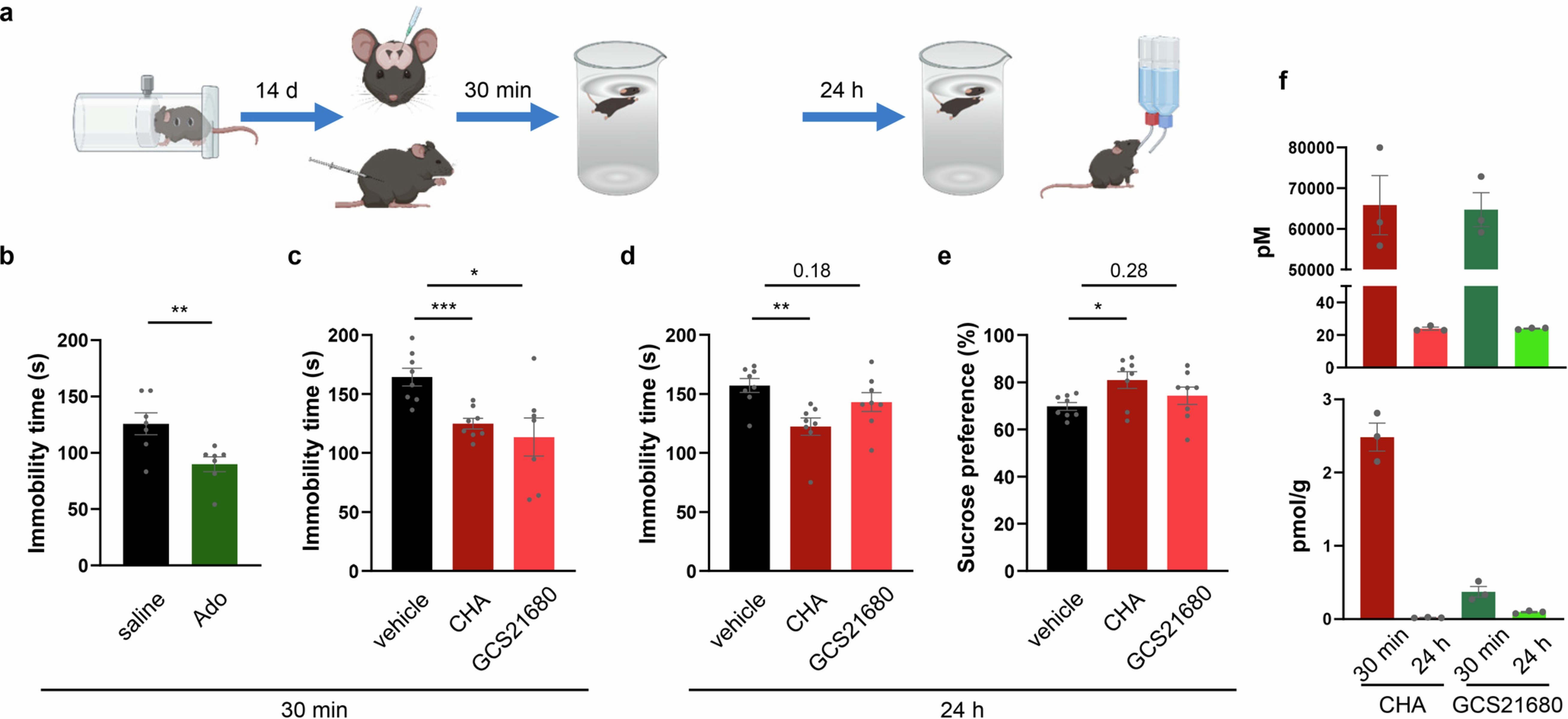Extended Data Fig. 4: Adenosine receptor activation produces antidepressant-like effects.