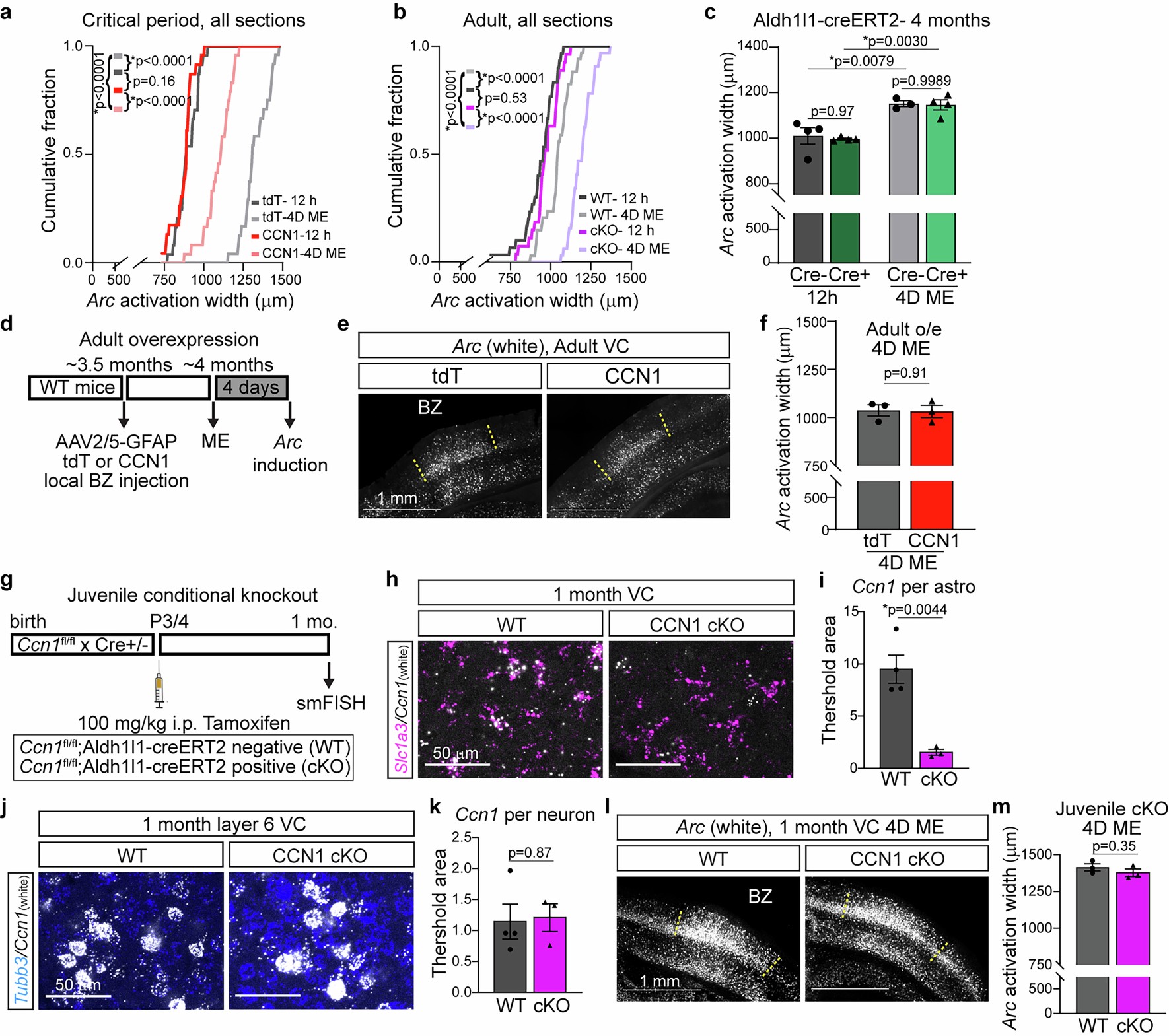 Extended Data Fig. 4