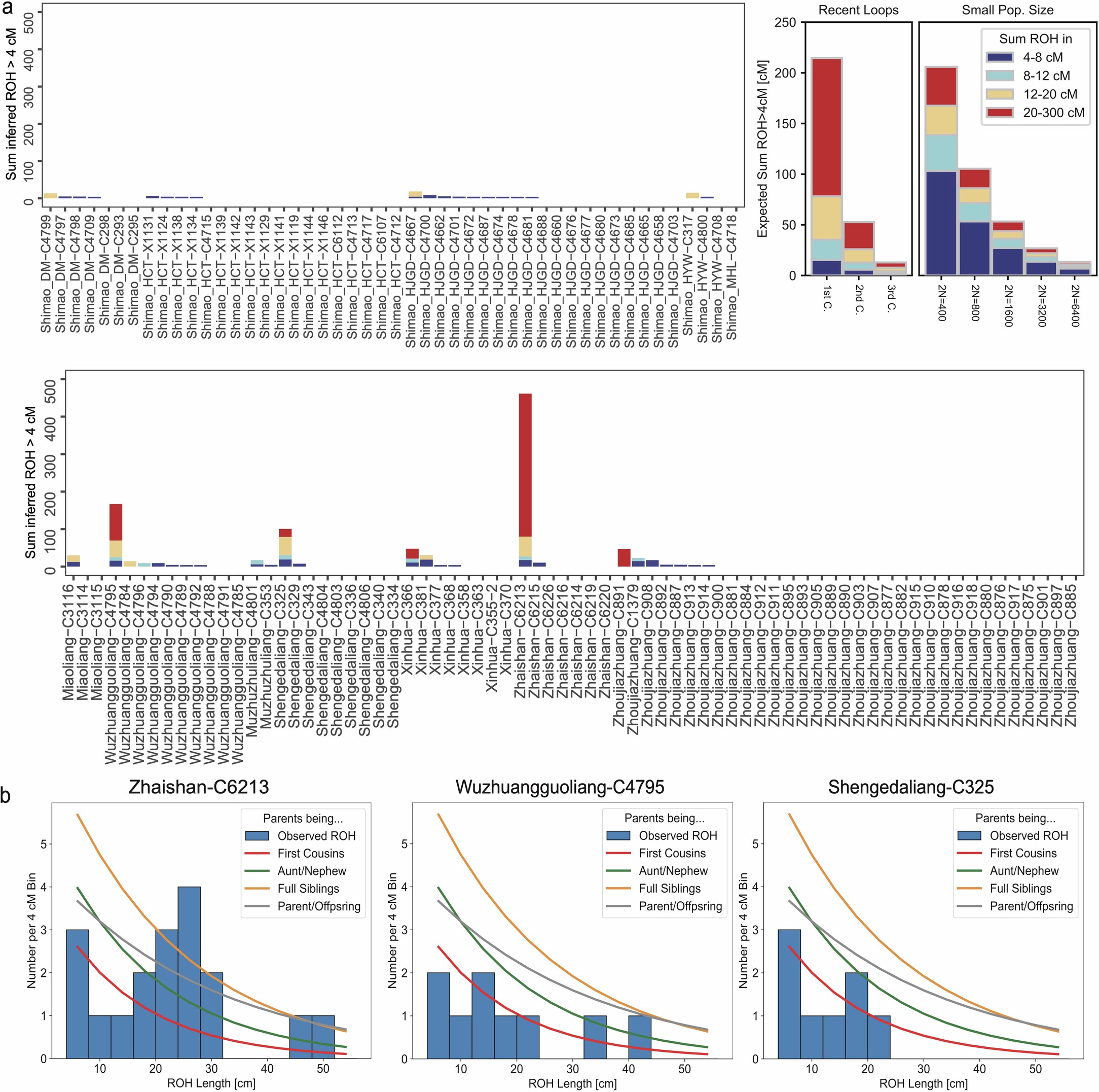 Extended Data Fig. 5: Run of homozygous (ROH) length distribution and karyotype plot for three individuals.