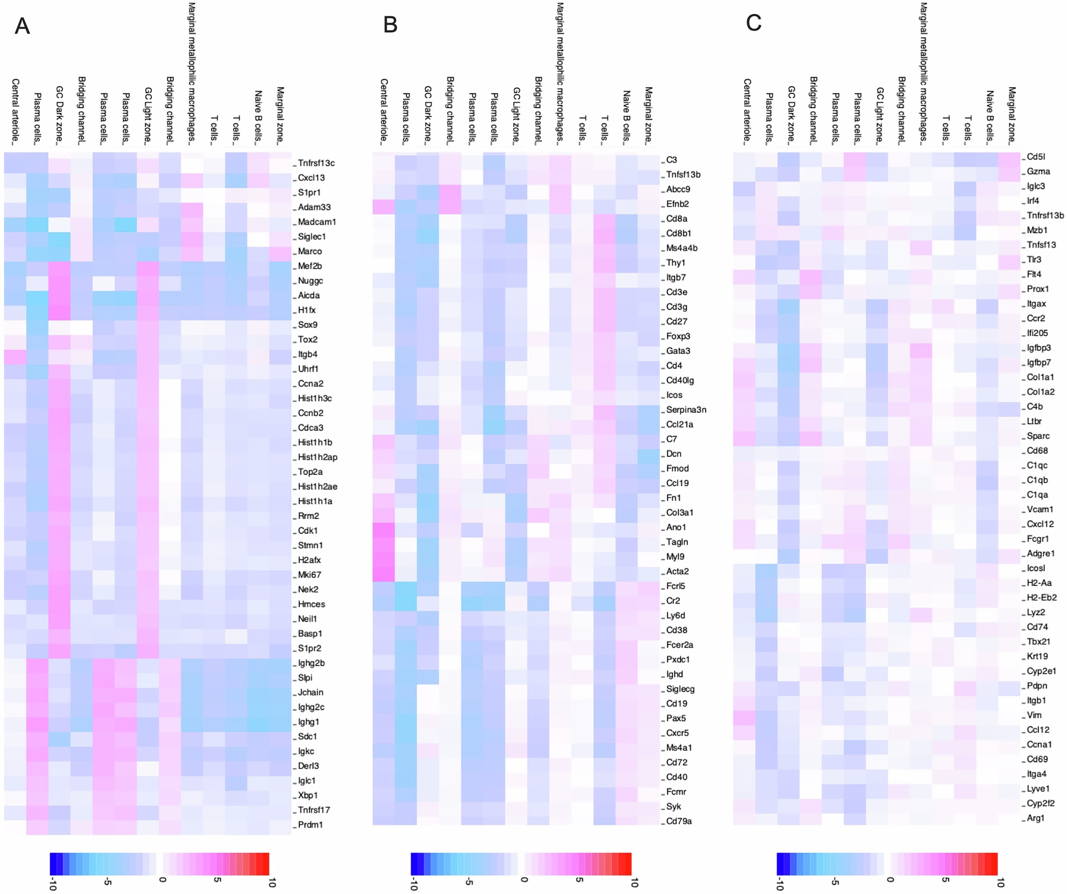 Extended Data Fig. 5: Spatial transcriptomic clustering of Visium HD annotated clusters in the spleen following LCMV infection.