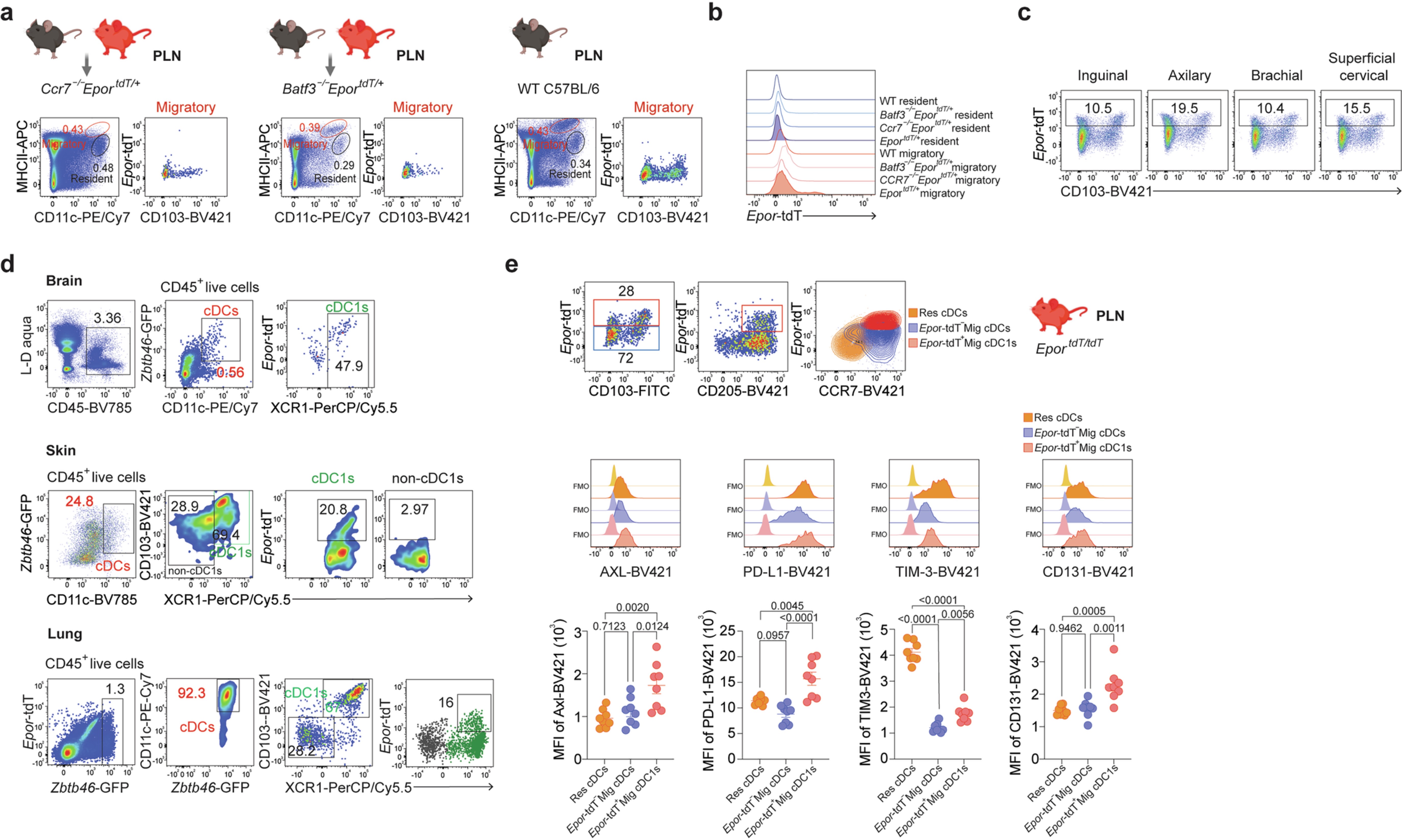 Extended Data Fig. 8: Epor-tdT expression on XCR1+ cDC1s in selected organs and tolerogenic phenotype of Epor-tdT+ migratory cDC1s in PLN.