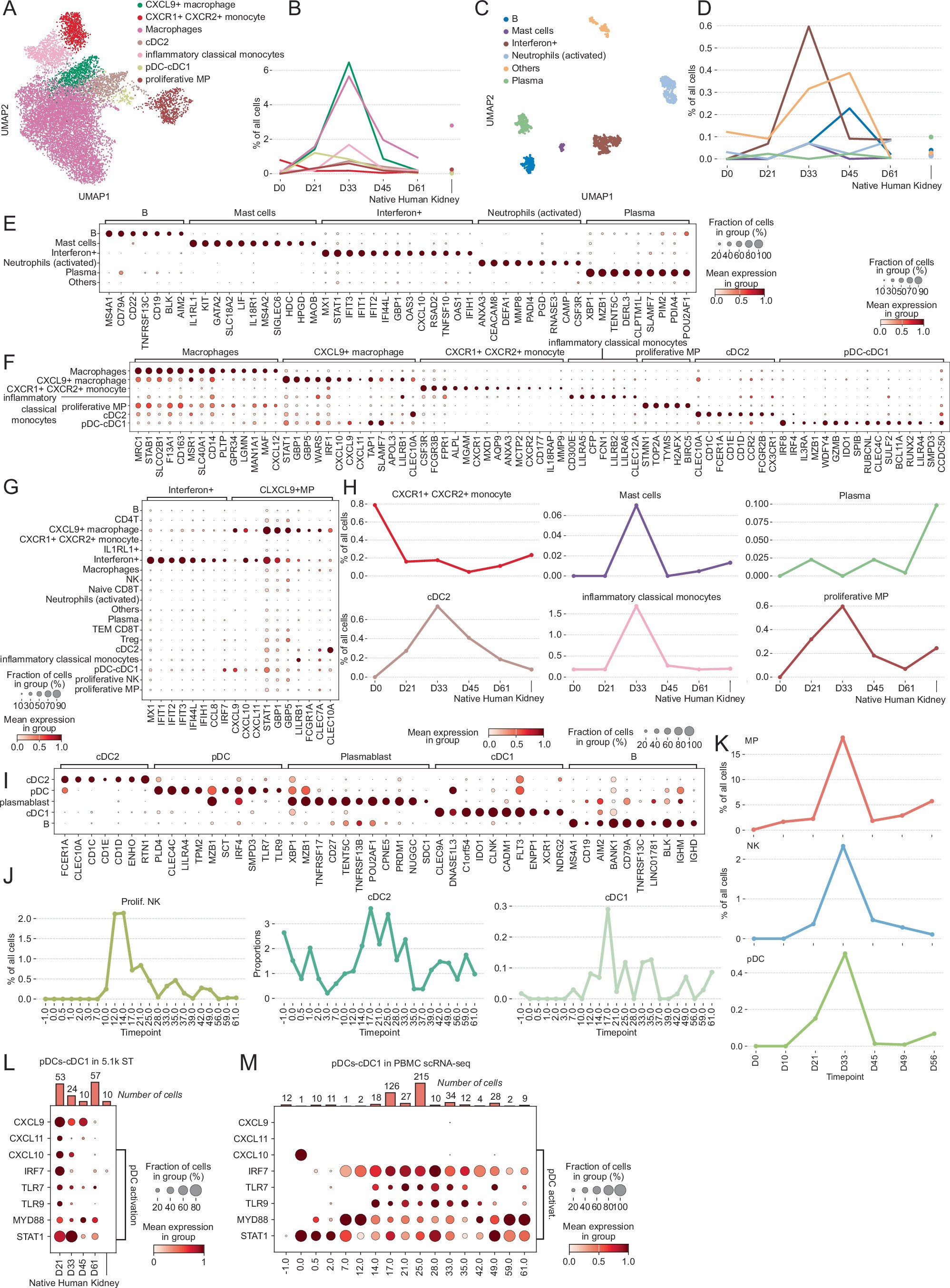 Extended Data Fig. 1: Further dissection of human macrophages, NK cells, B cells and dendritic cells.