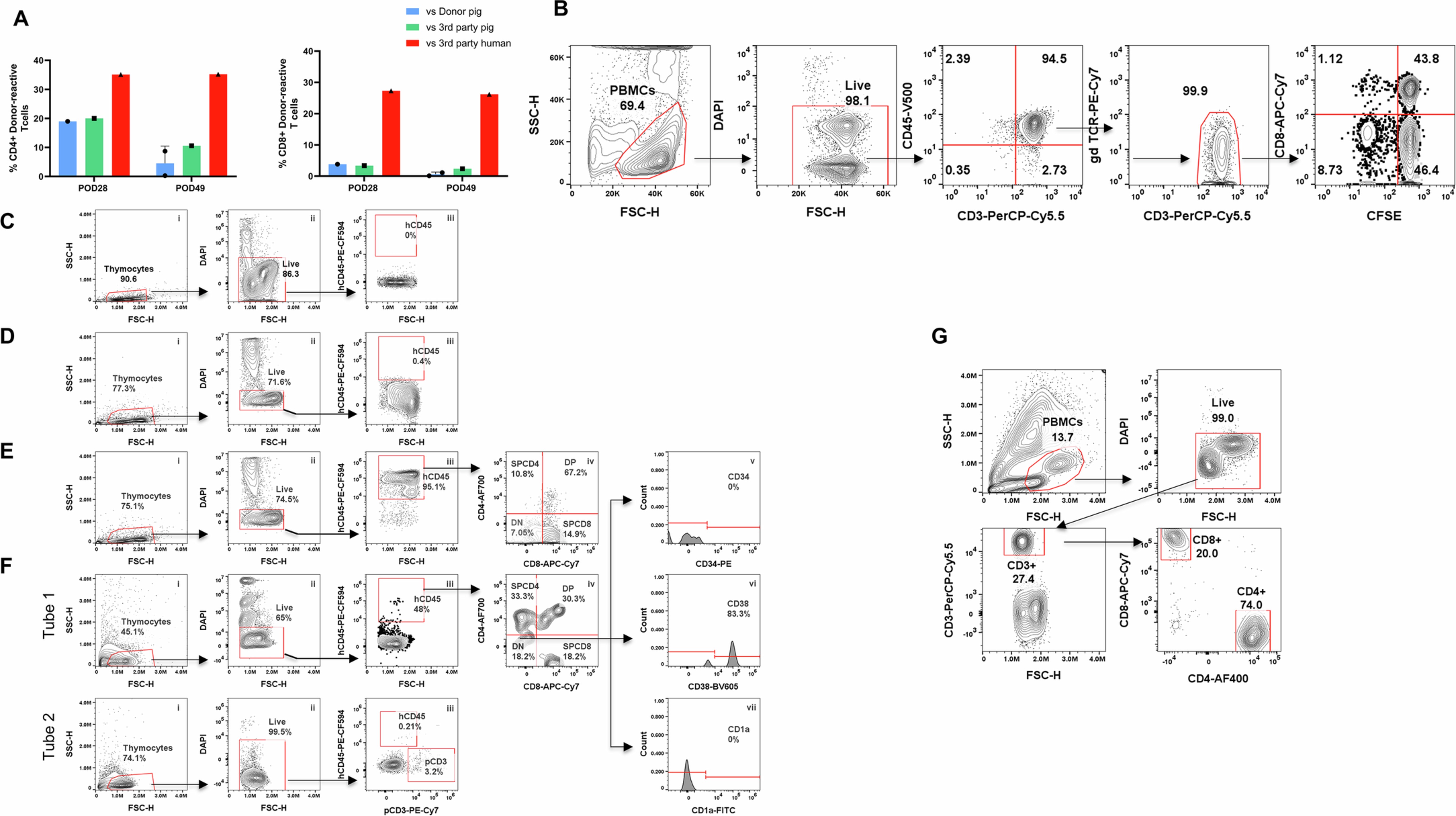 Extended Data Fig. 8: Mixed lymphocyte reaction (MLR) results at post-transplant time points and evidence for recipient thymopoiesis in the explanted thymokidney.