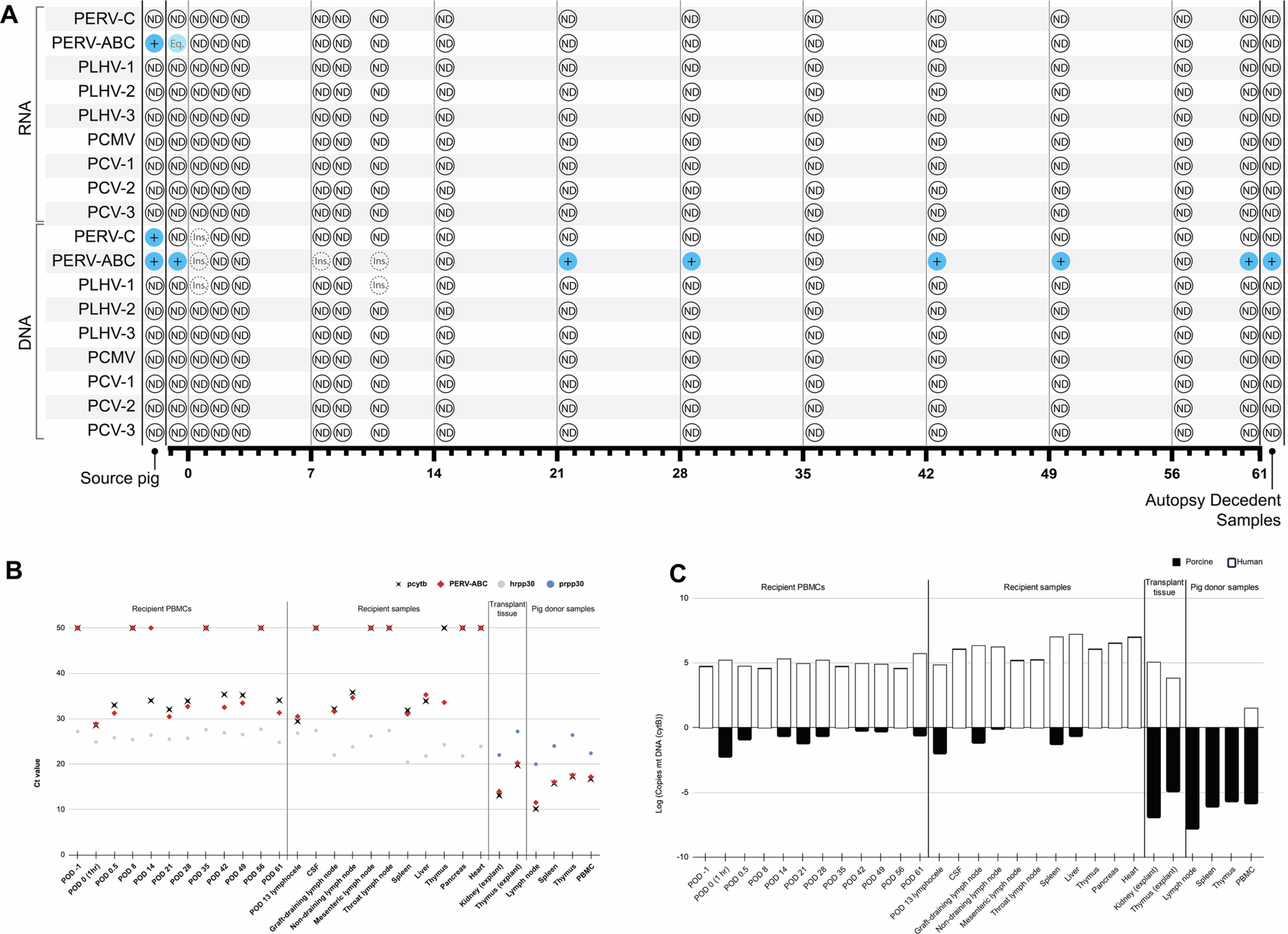 Extended Data Fig. 11: Zoonosis source animal screening and decedent viral monitoring.