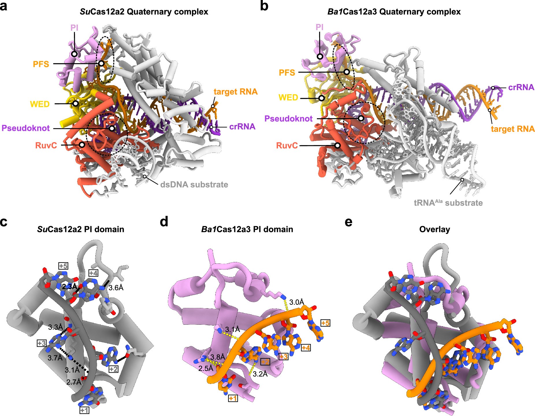 Extended Data Fig. 5