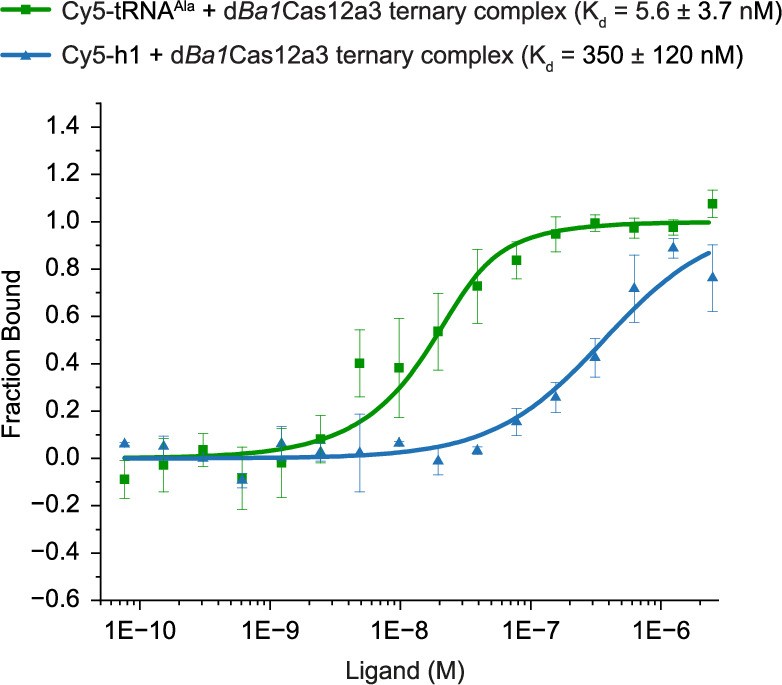 Extended Data Fig. 7: Measured binding affinities of a full-length and truncated tRNAAla to dBa1Cas12a3.