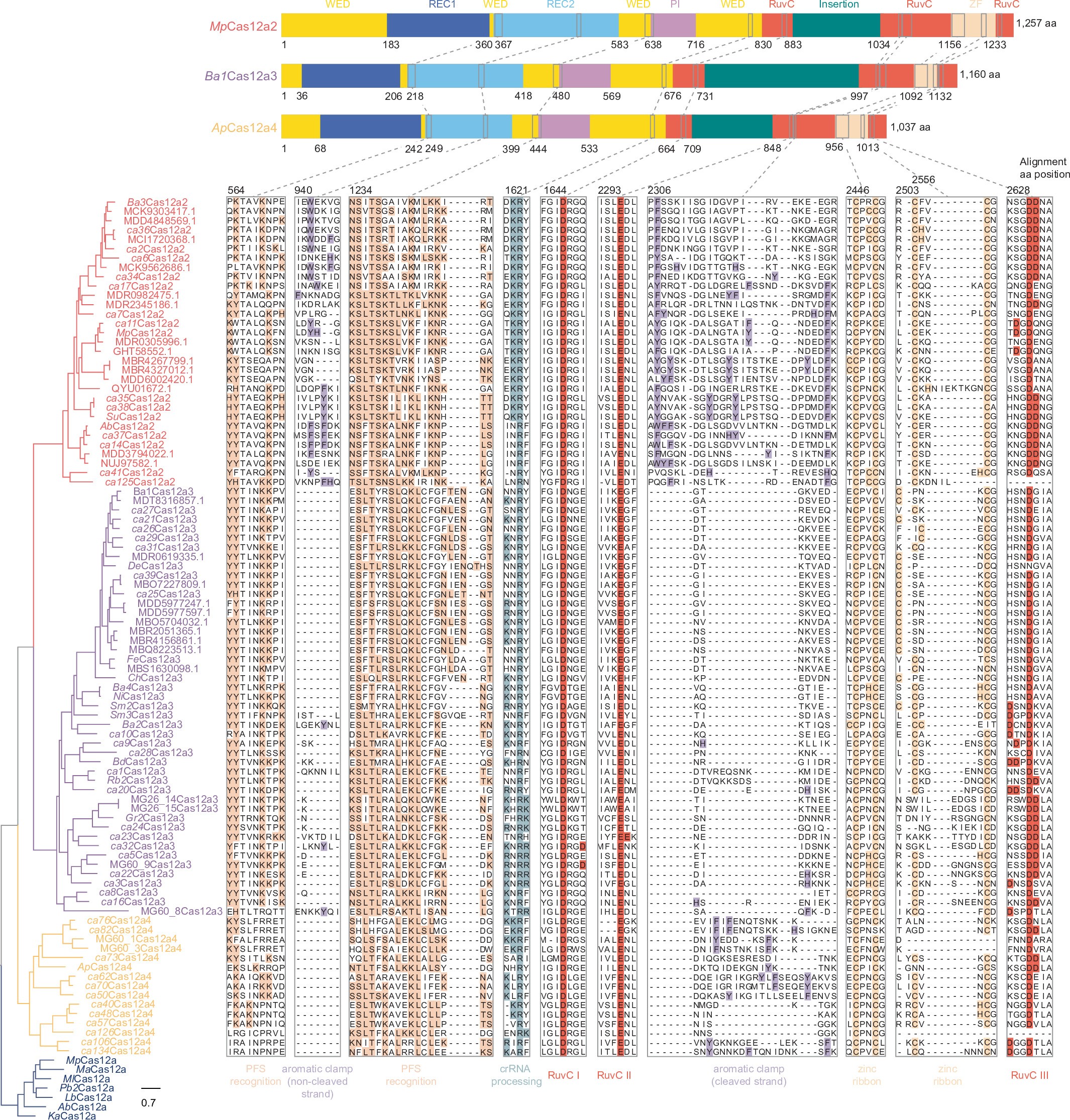 Extended Data Fig. 1