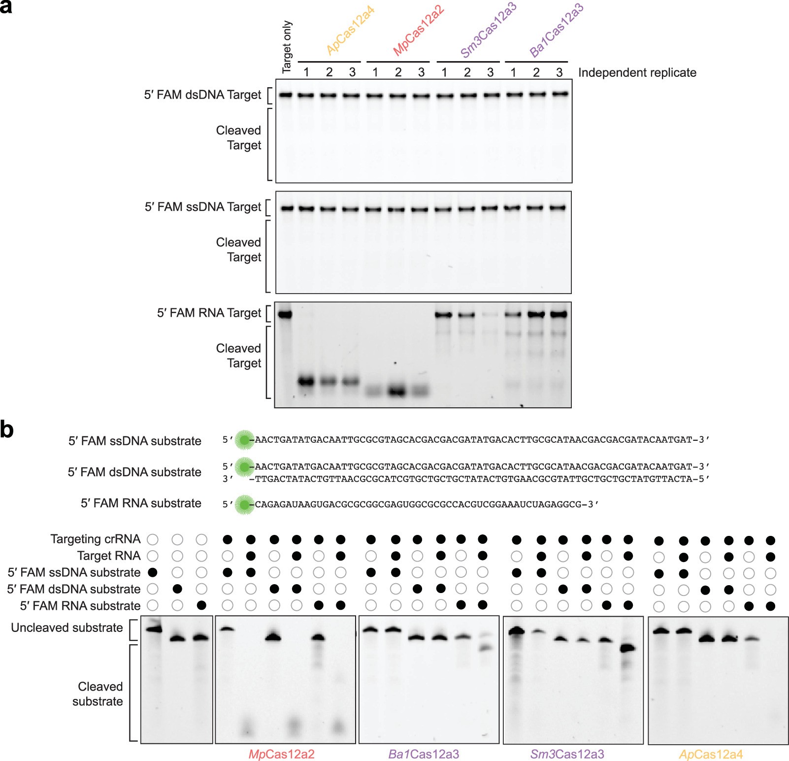 Extended Data Fig. 2