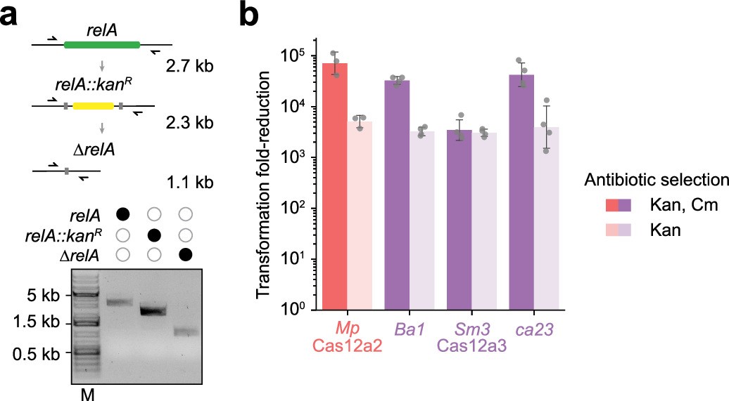 Extended Data Fig. 4