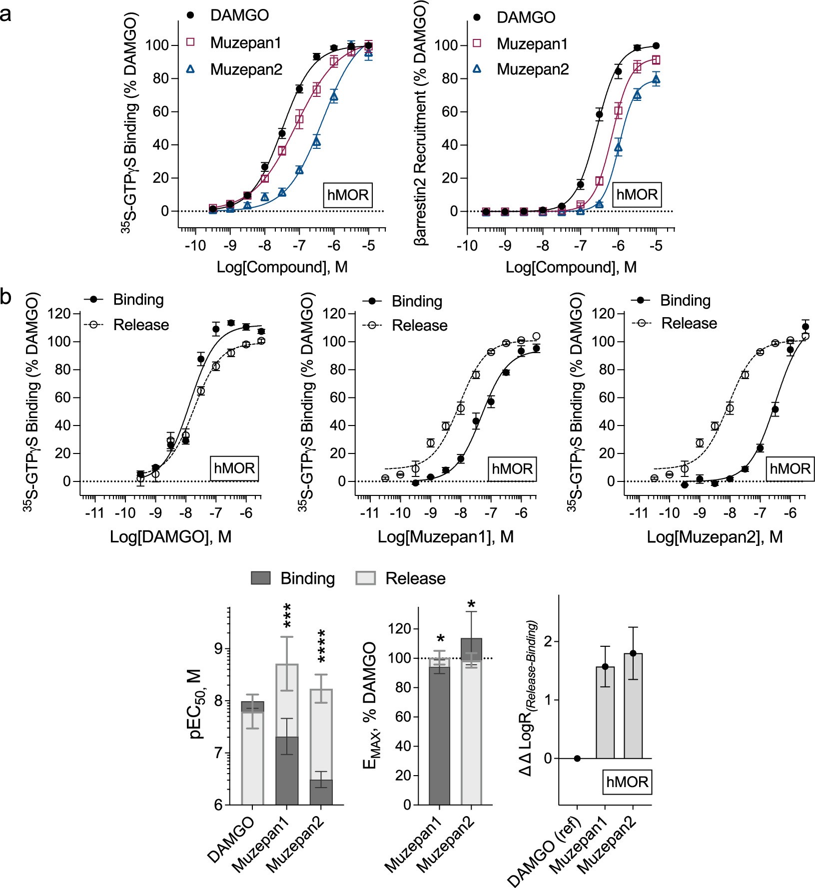 Extended Data Fig. 3: Characterization of agonists at the human MOR.