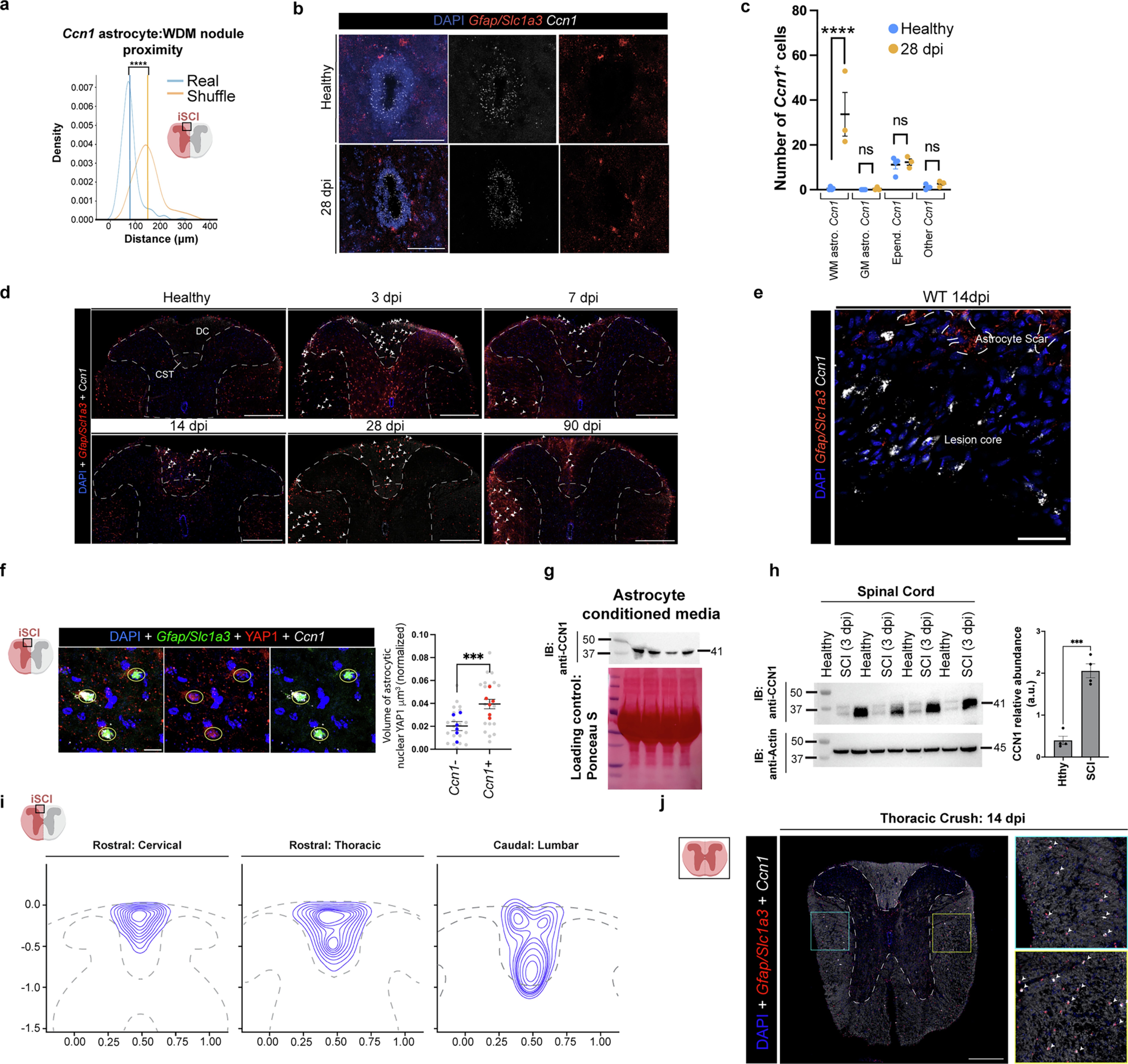 Extended Data Fig. 6