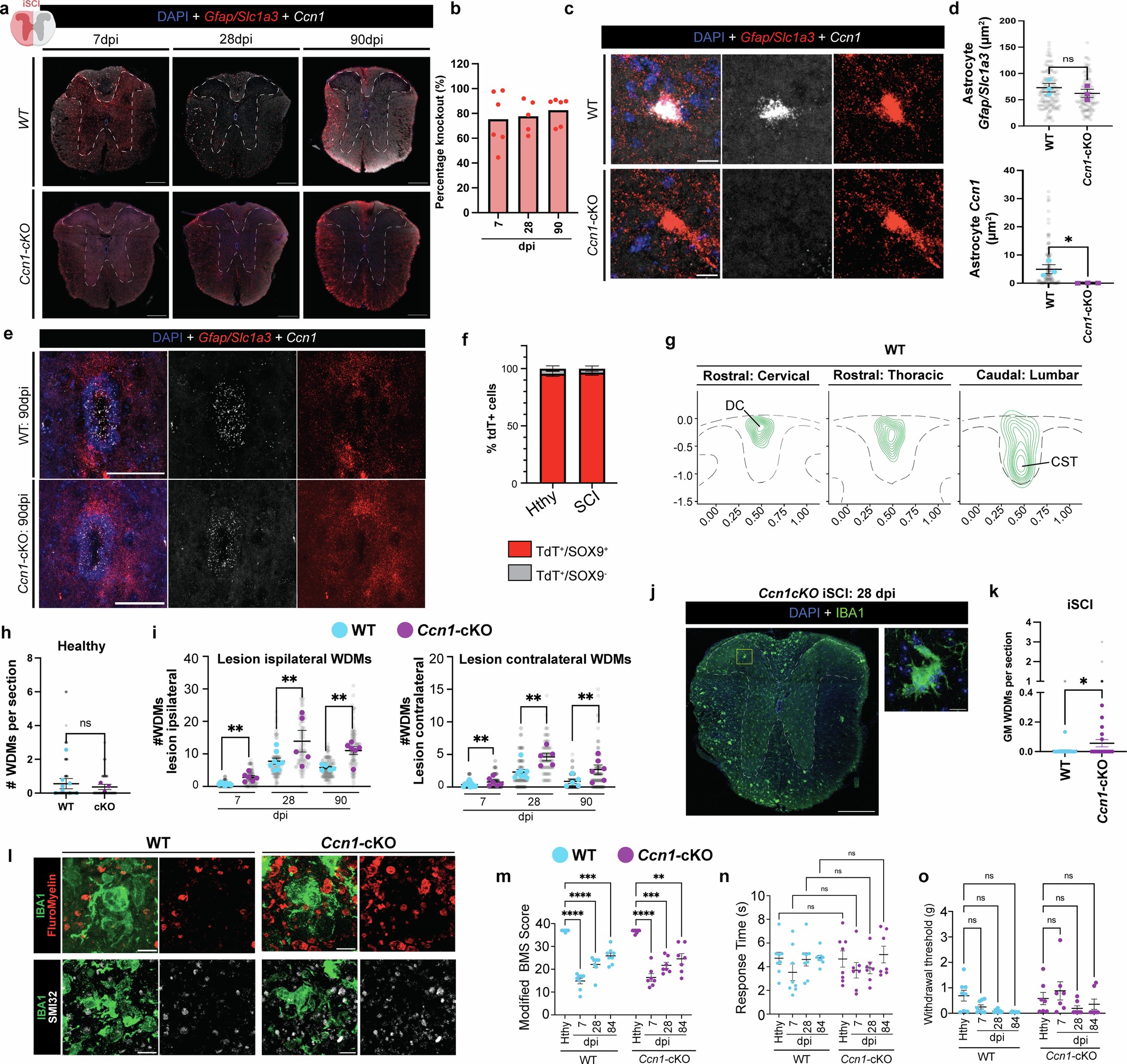 Extended Data Fig. 7