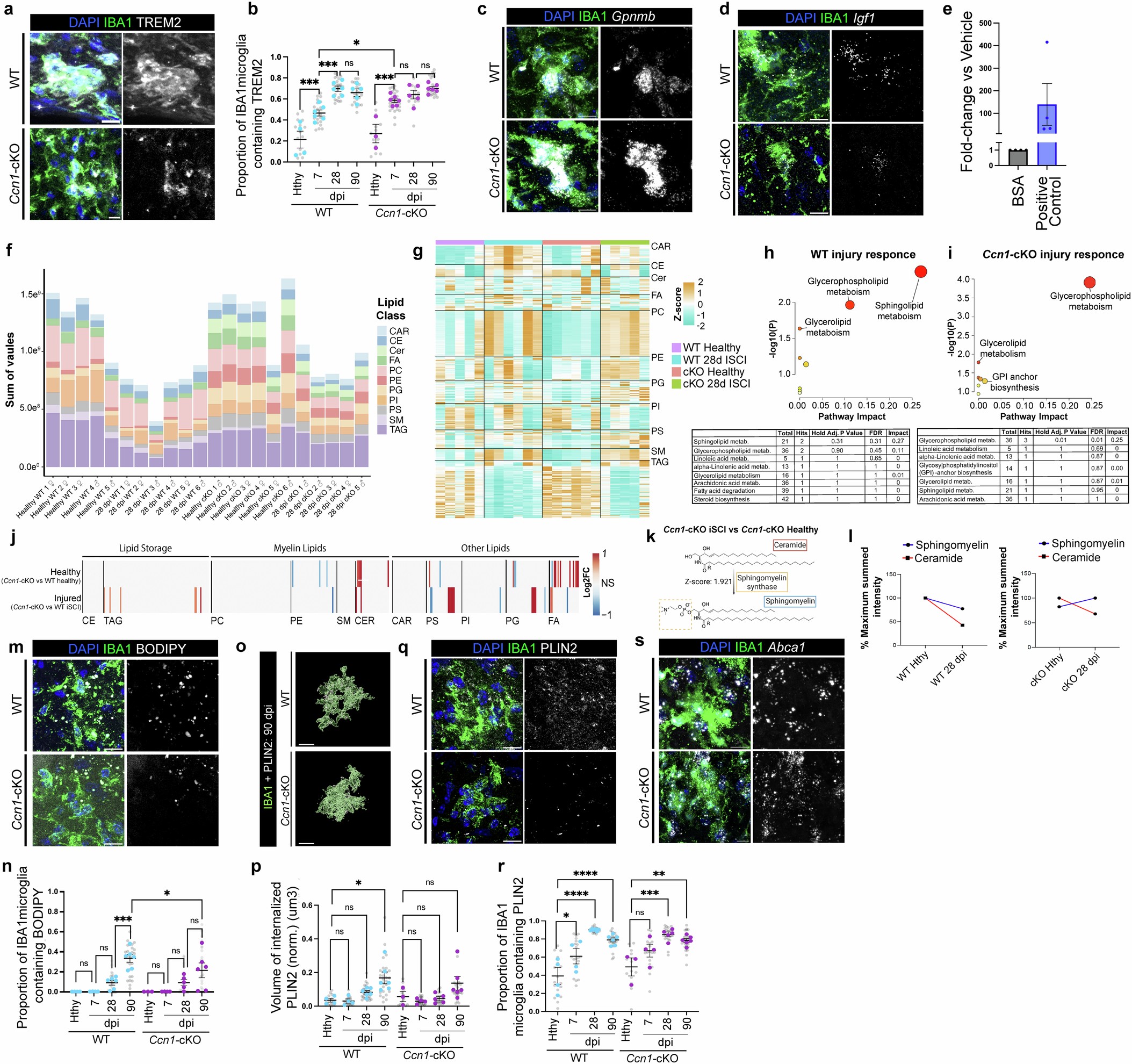 Extended Data Fig. 8
