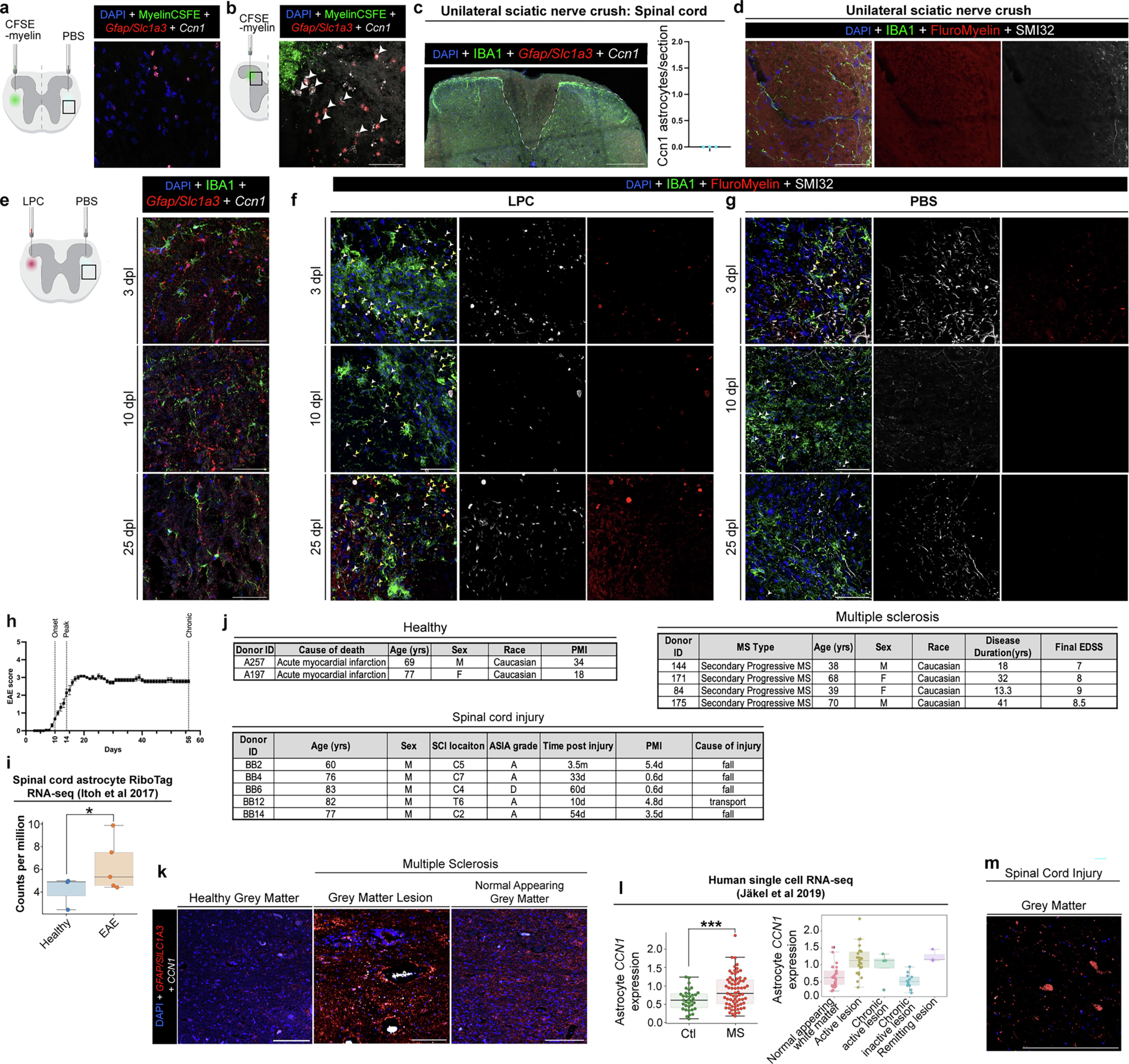 Extended Data Fig. 9
