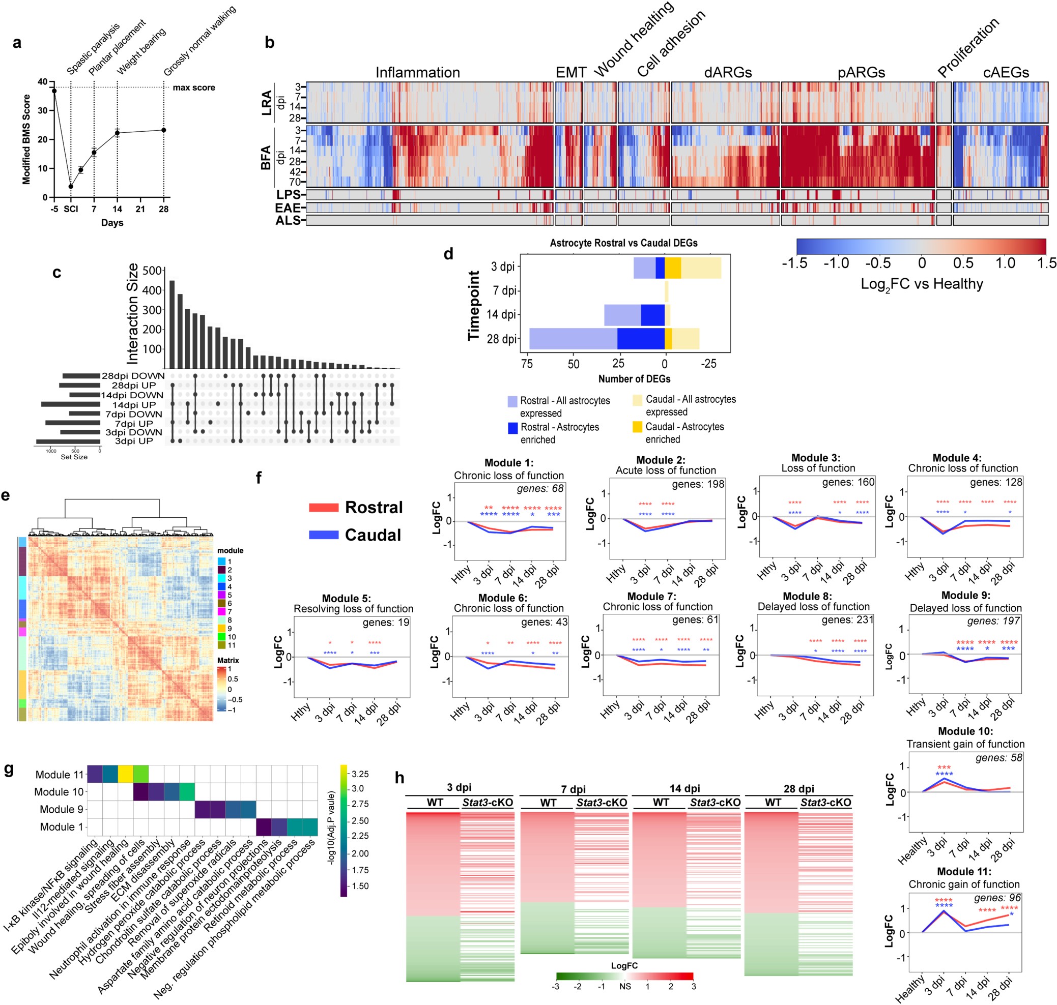 Extended Data Fig. 1