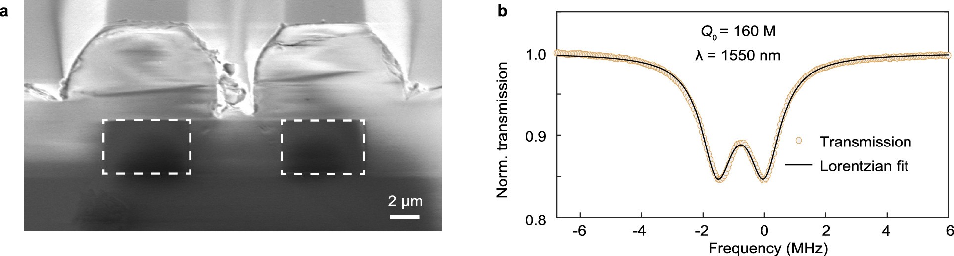 Extended Data Fig. 2: Cladded germano-silicate PIC.