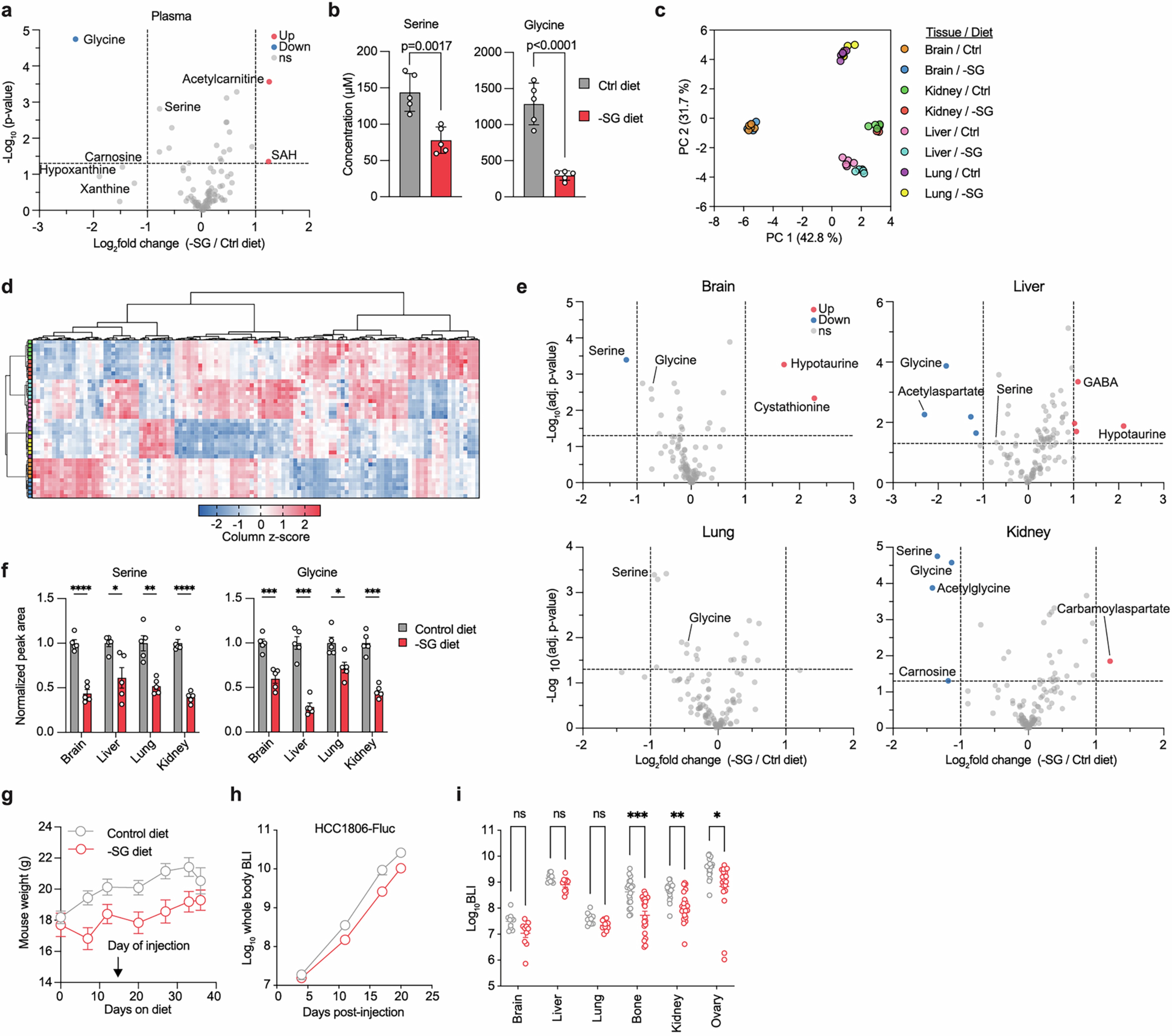Extended Data Fig. 14: Dietary depletion of serine and glycine alters tissue metabolite levels and site-specific metastasis.