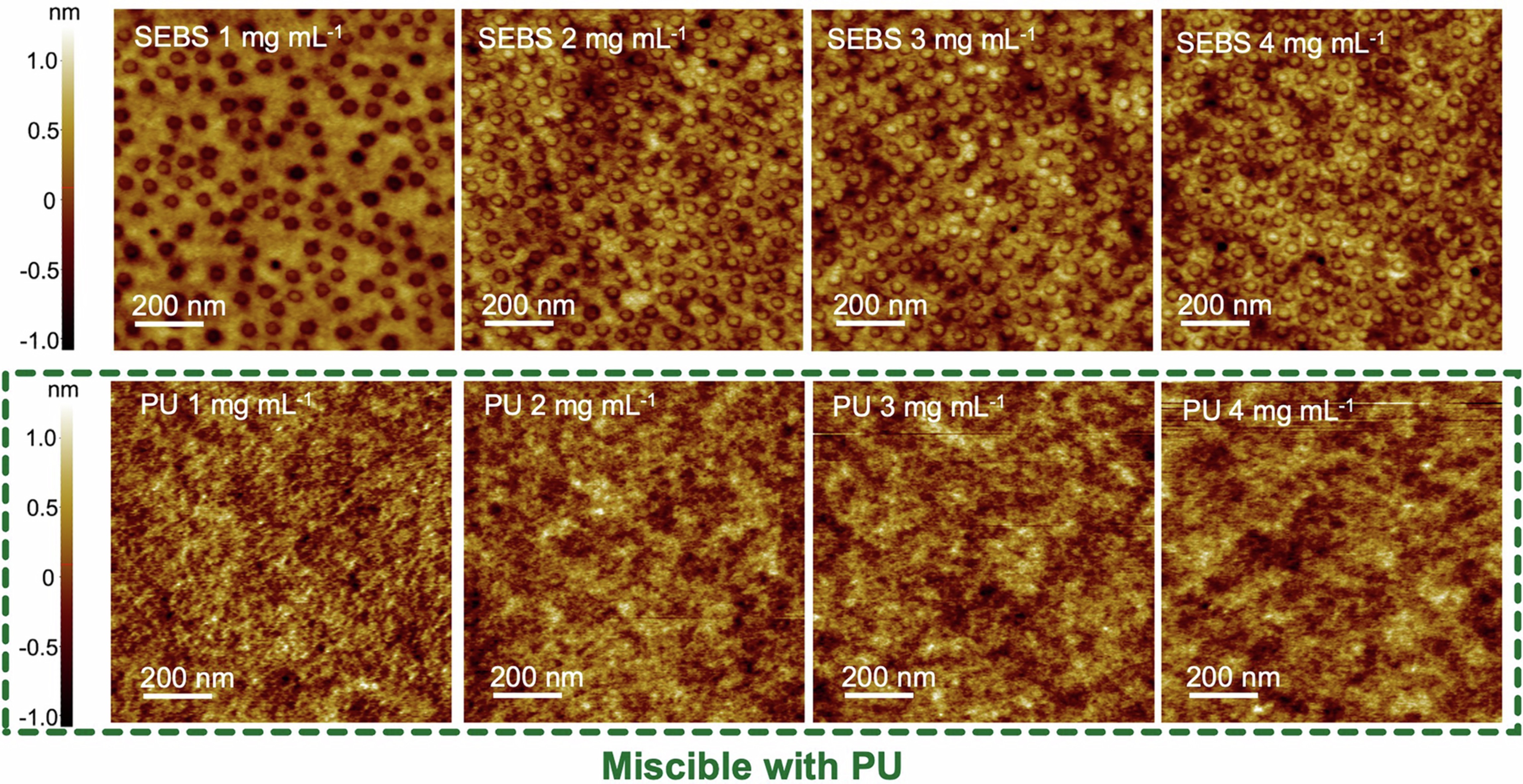 Extended Data Fig. 2: Effect of elastomer content on the morphology of the stretchable ExciPh layer.