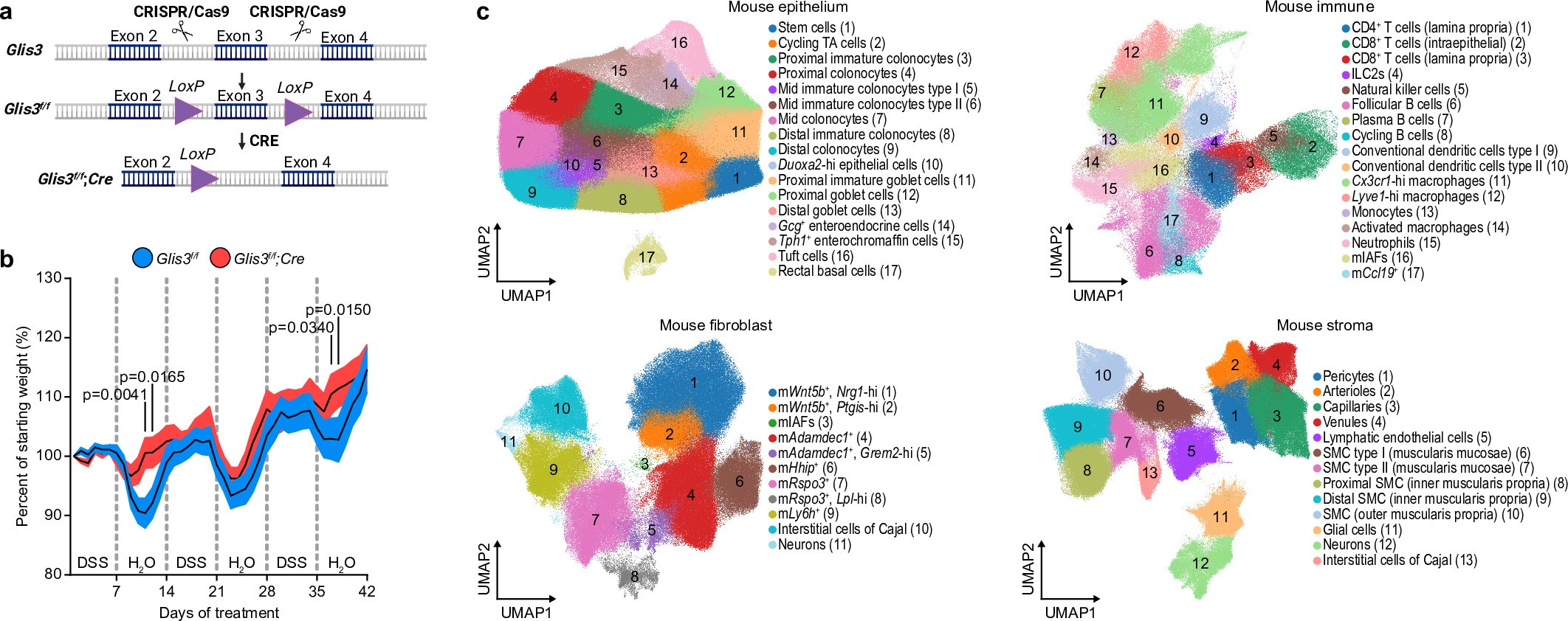 Extended Data Fig. 8: GLIS3 is required for IAF induction and aberrant collagen deposition during colitis.
