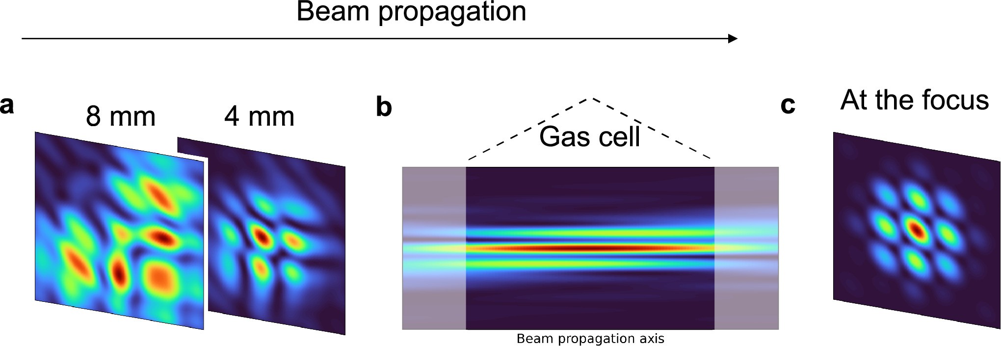 Extended Data Fig. 1