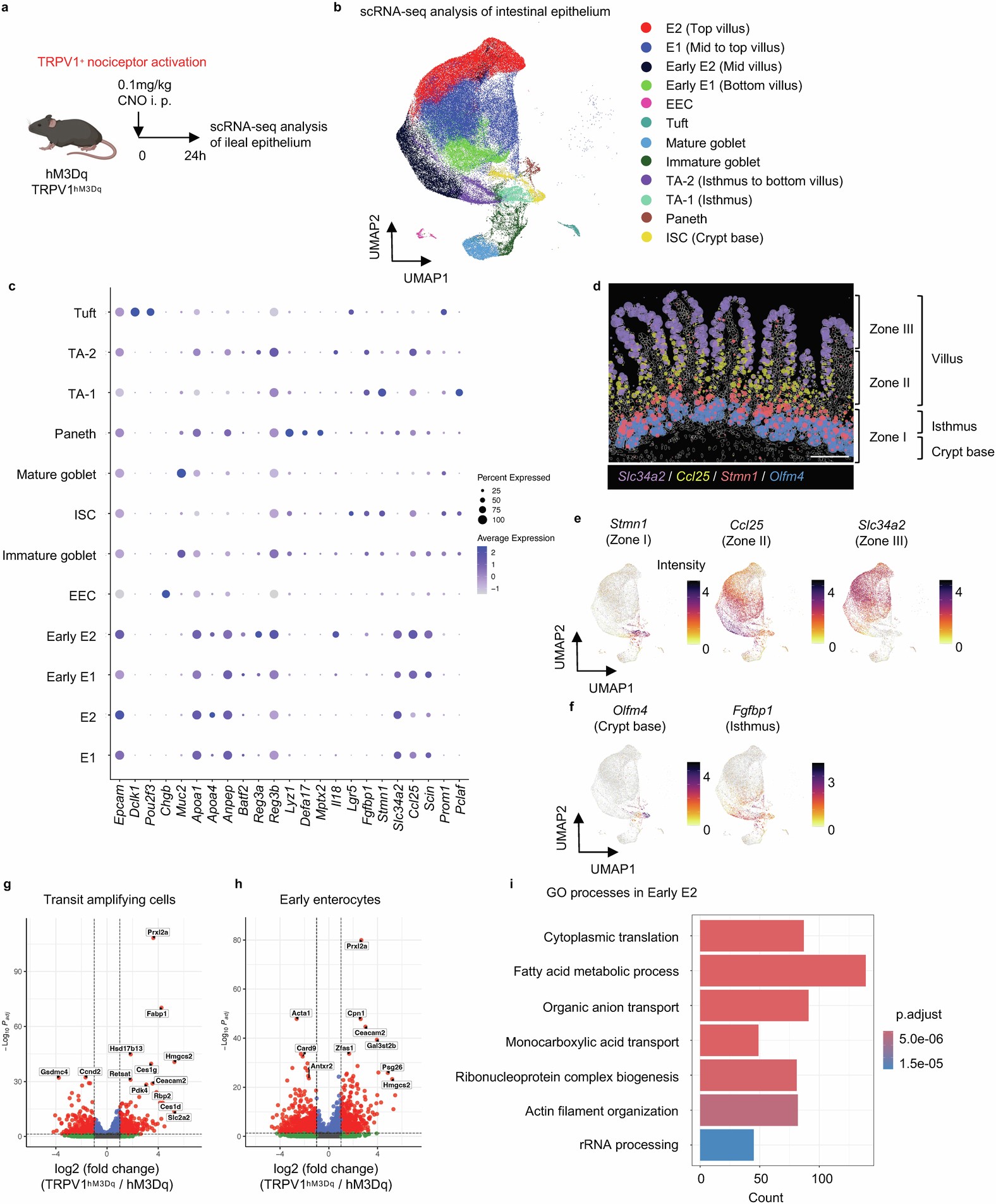 Extended Data Fig. 8