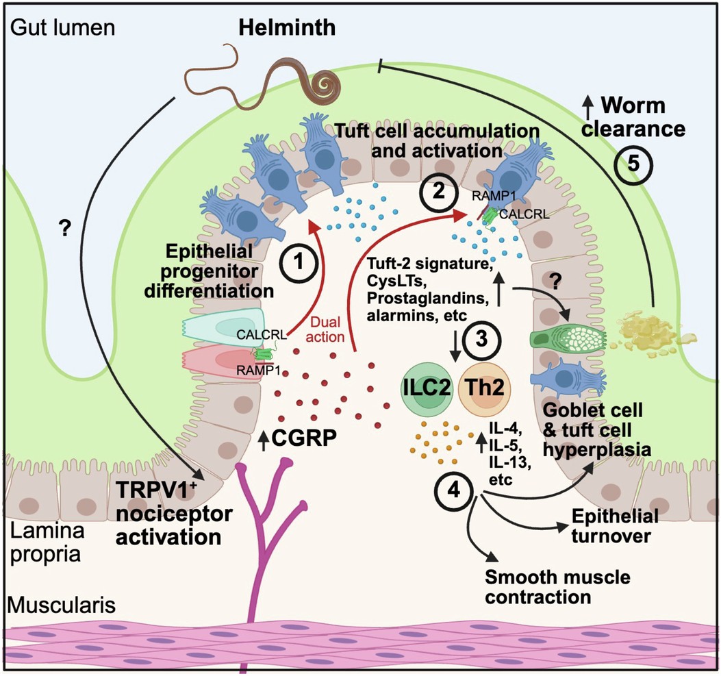 Extended Data Fig. 10