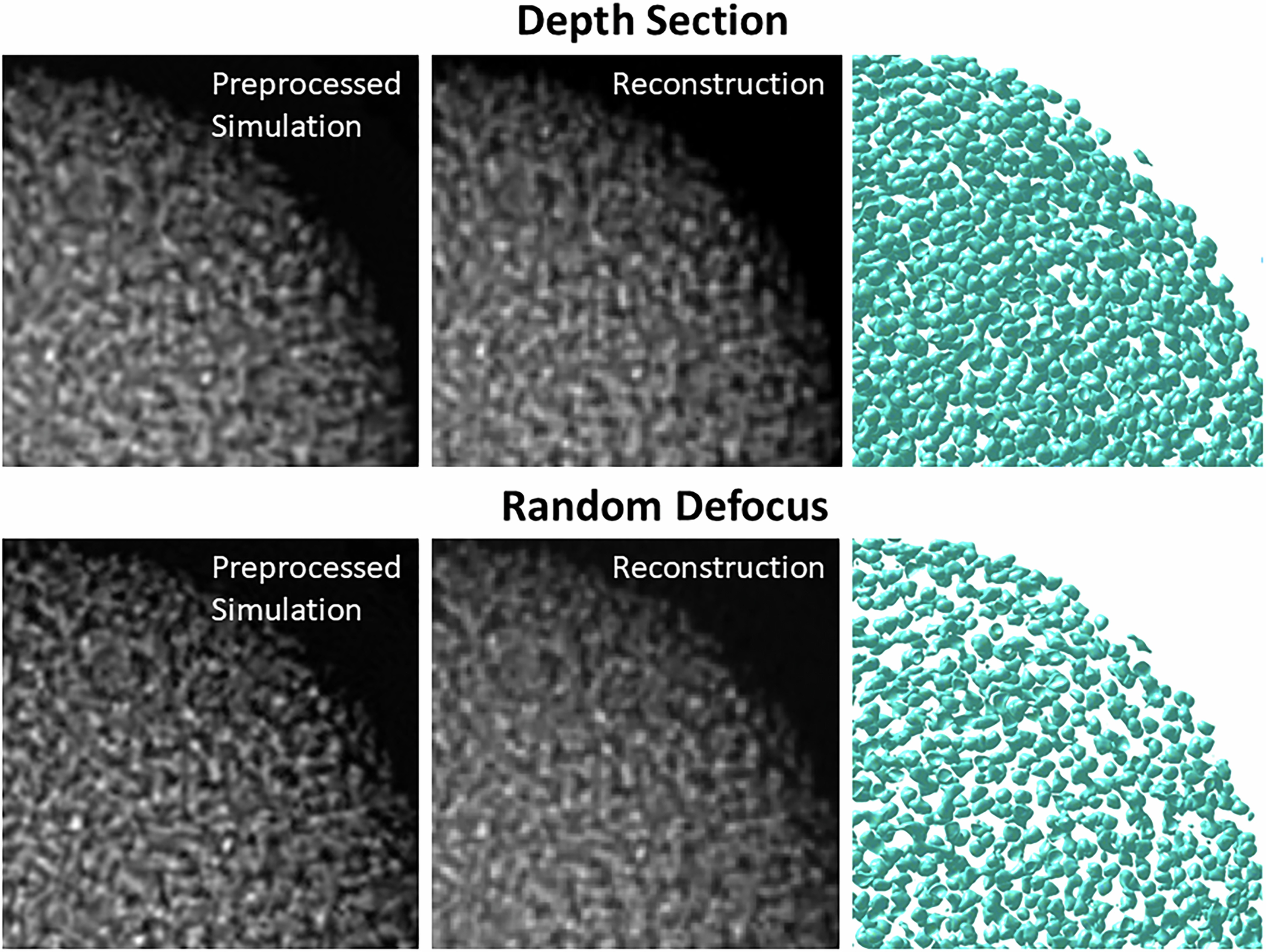 Extended Data Fig. 5