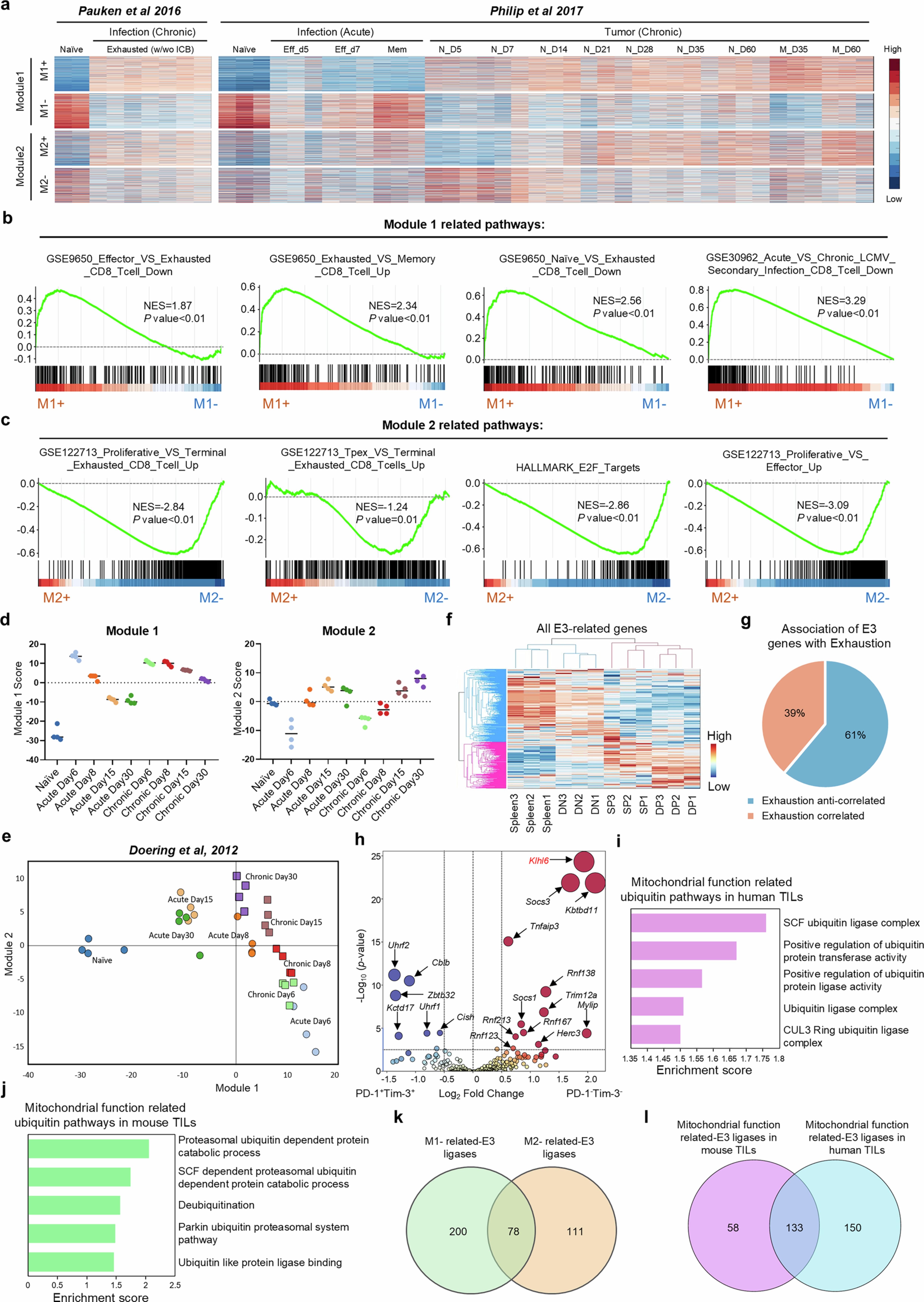 Extended Data Fig. 1: Visualization of transcriptome deconvolution into 2 gene modules.