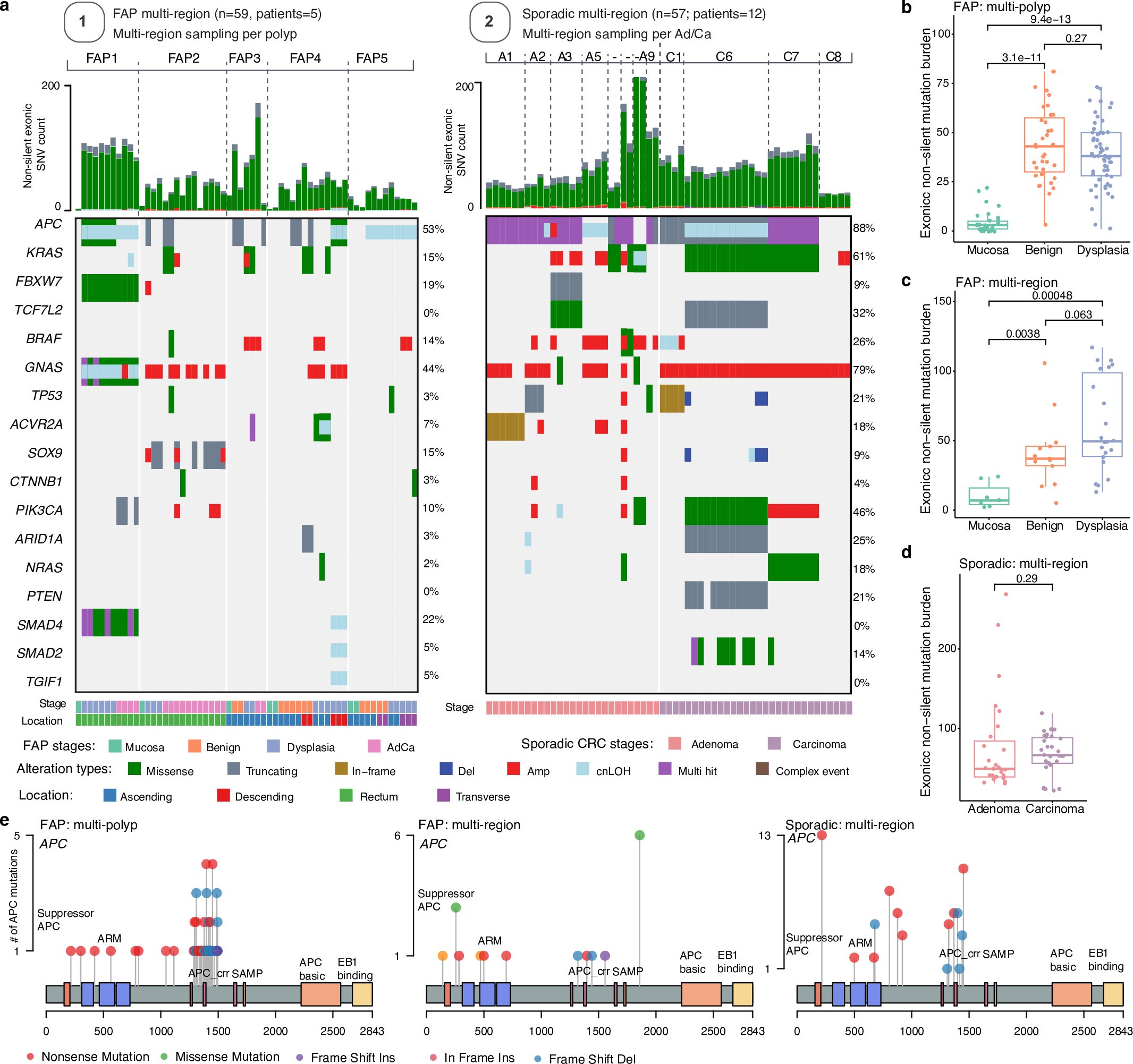 Extended Data Fig. 1: Somatic mutations in FAP and sporadic CRC samples.