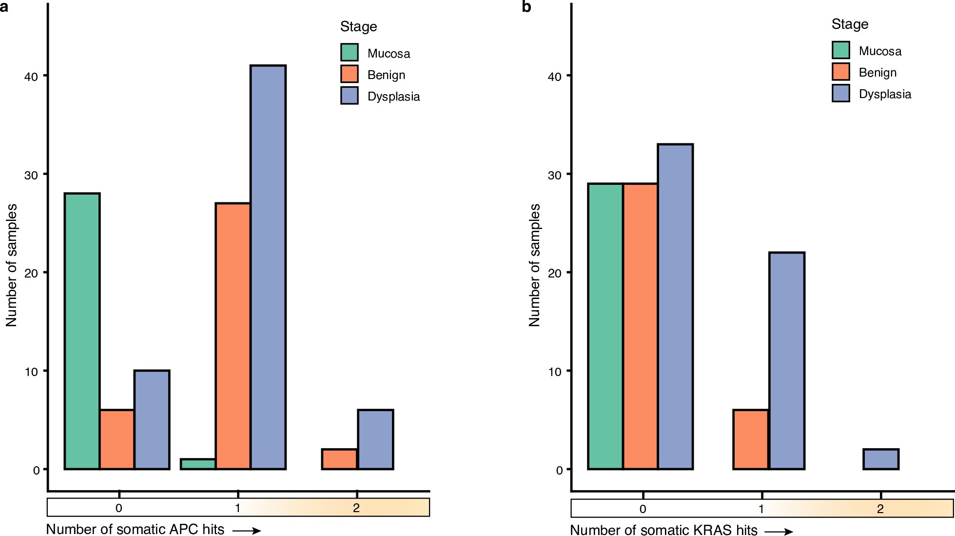 Extended Data Fig. 2: Distribution of APC and KRAS somatic mutations in FAP polyps and normal mucosa.